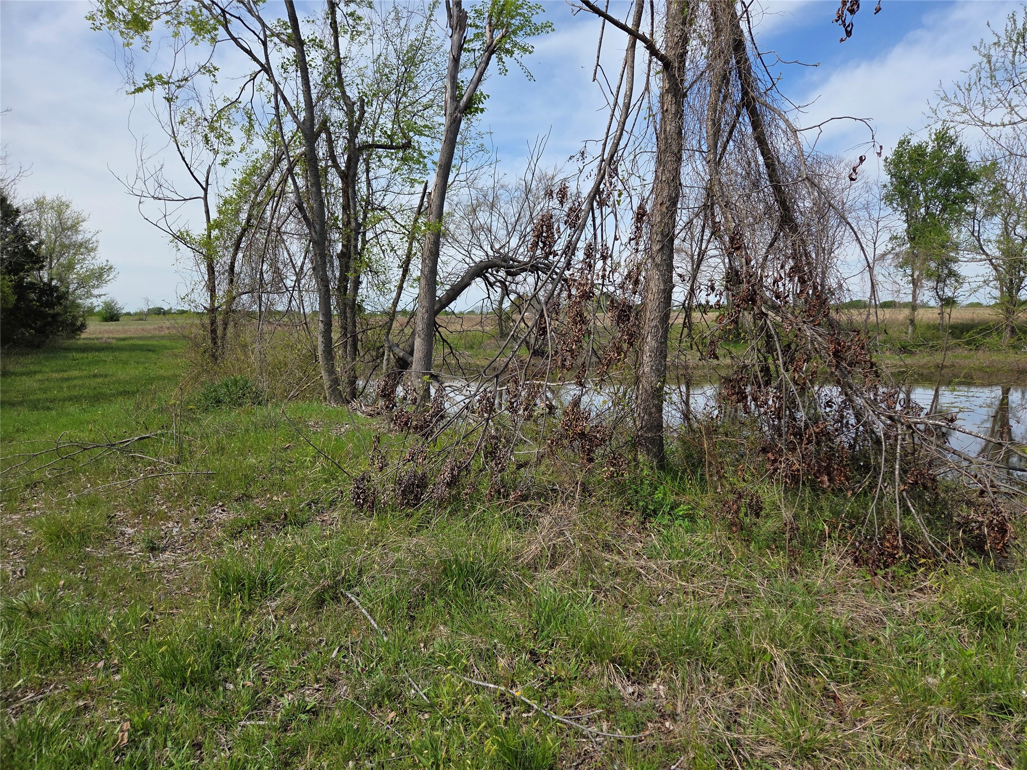 Lot 95 Stillwater Shores Drive Corsicana TX 75109