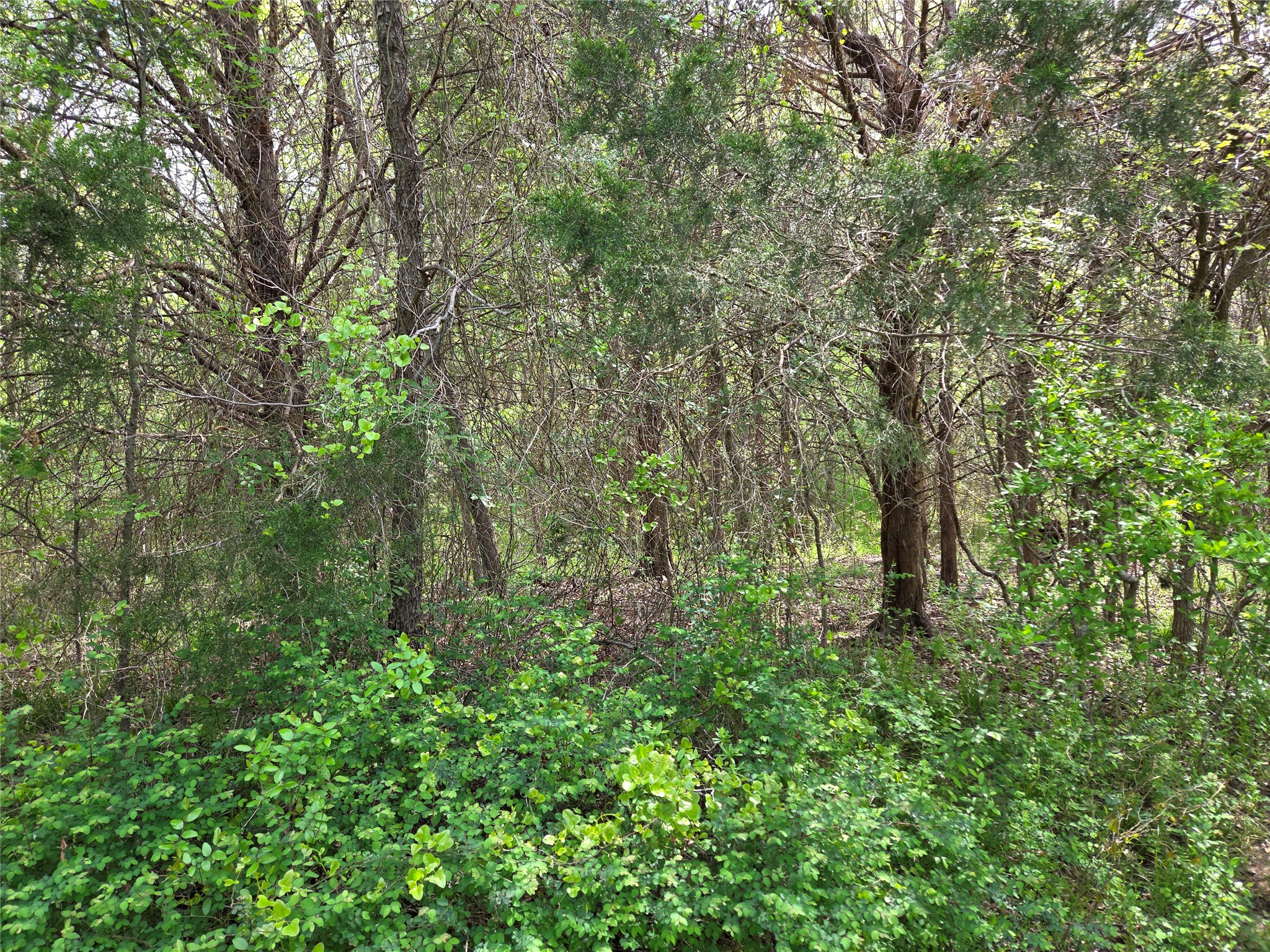 Lot 95 Stillwater Shores Drive Corsicana TX 75109