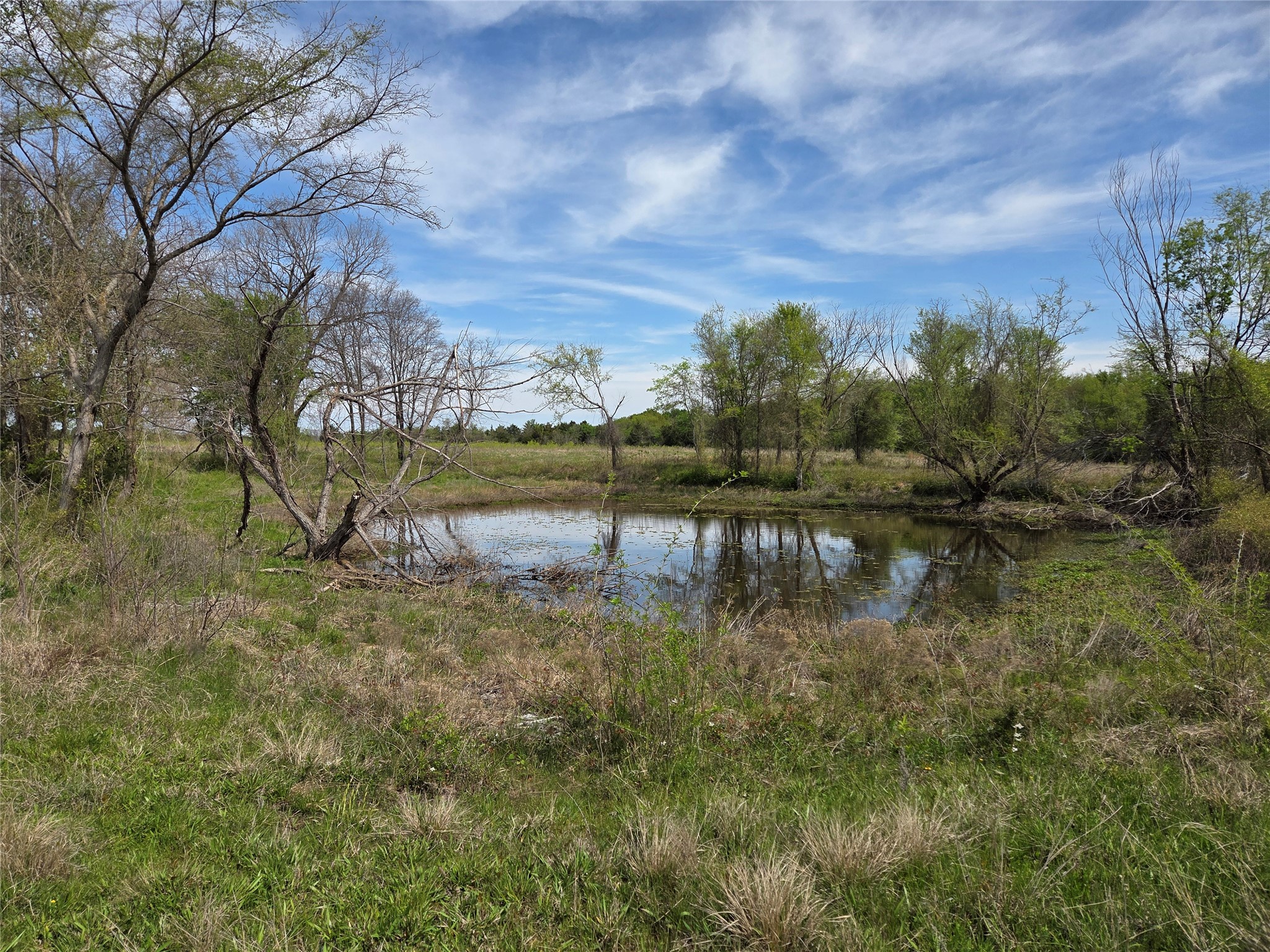 Lot 95 Stillwater Shores Drive Corsicana TX 75109