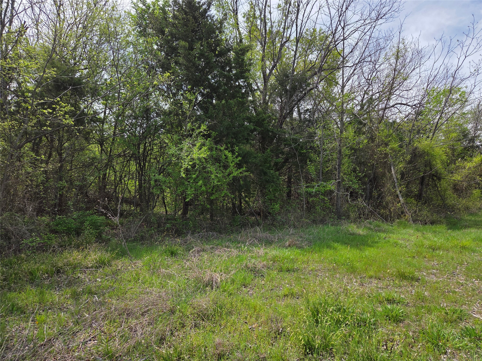 Lot 95 Stillwater Shores Drive Corsicana TX 75109