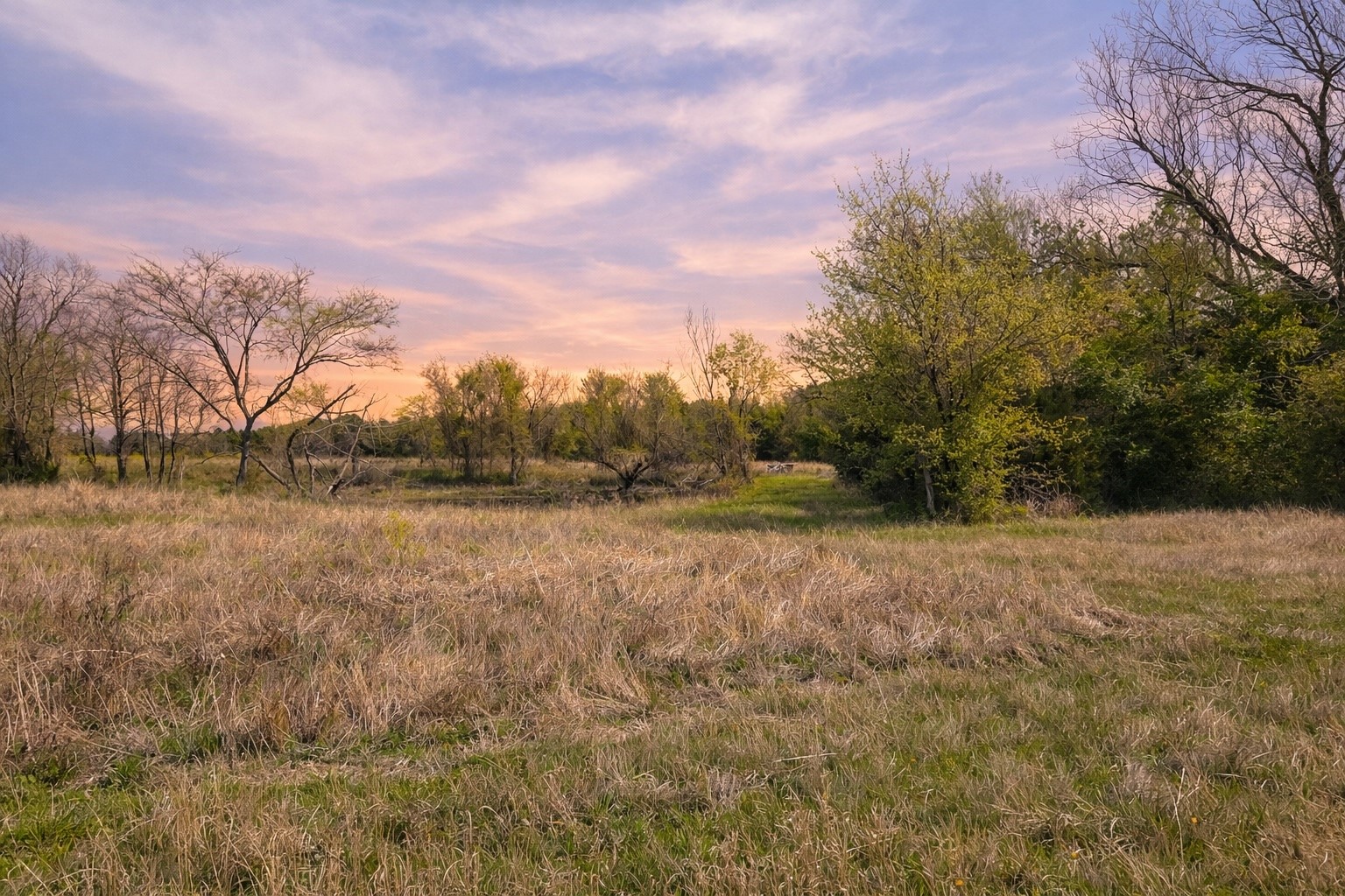 Lot 95 Stillwater Shores Drive Corsicana TX 75109
