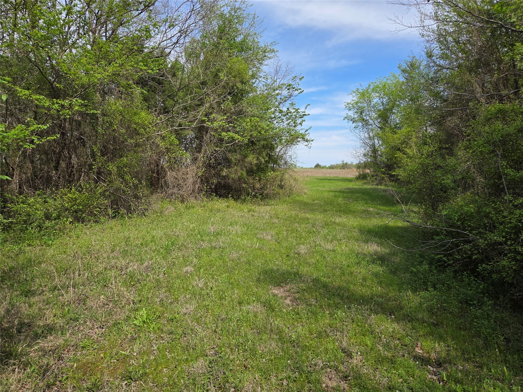 Lot 95 Stillwater Shores Drive Corsicana TX 75109