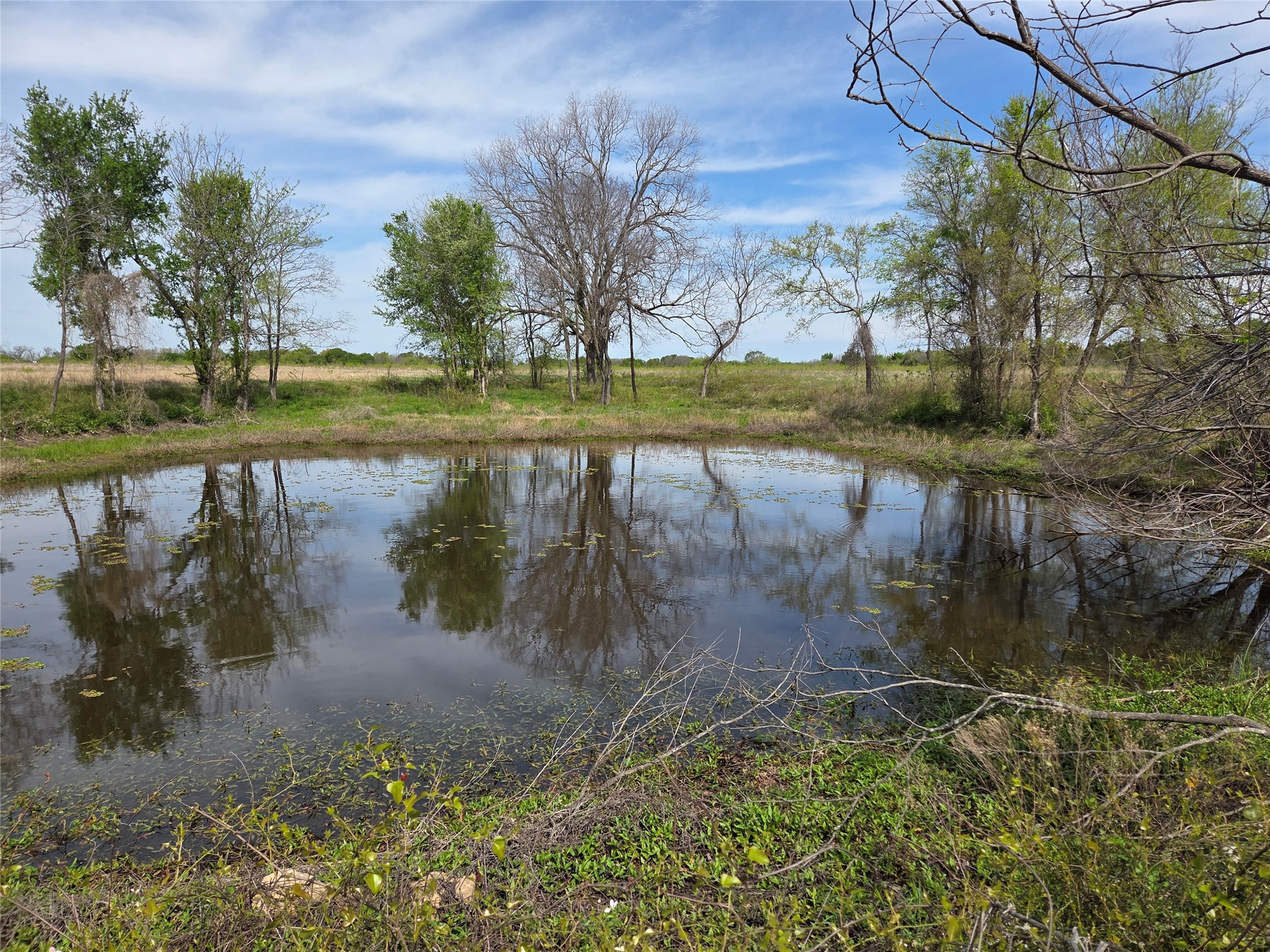 Lot 95 Stillwater Shores Drive Corsicana TX 75109