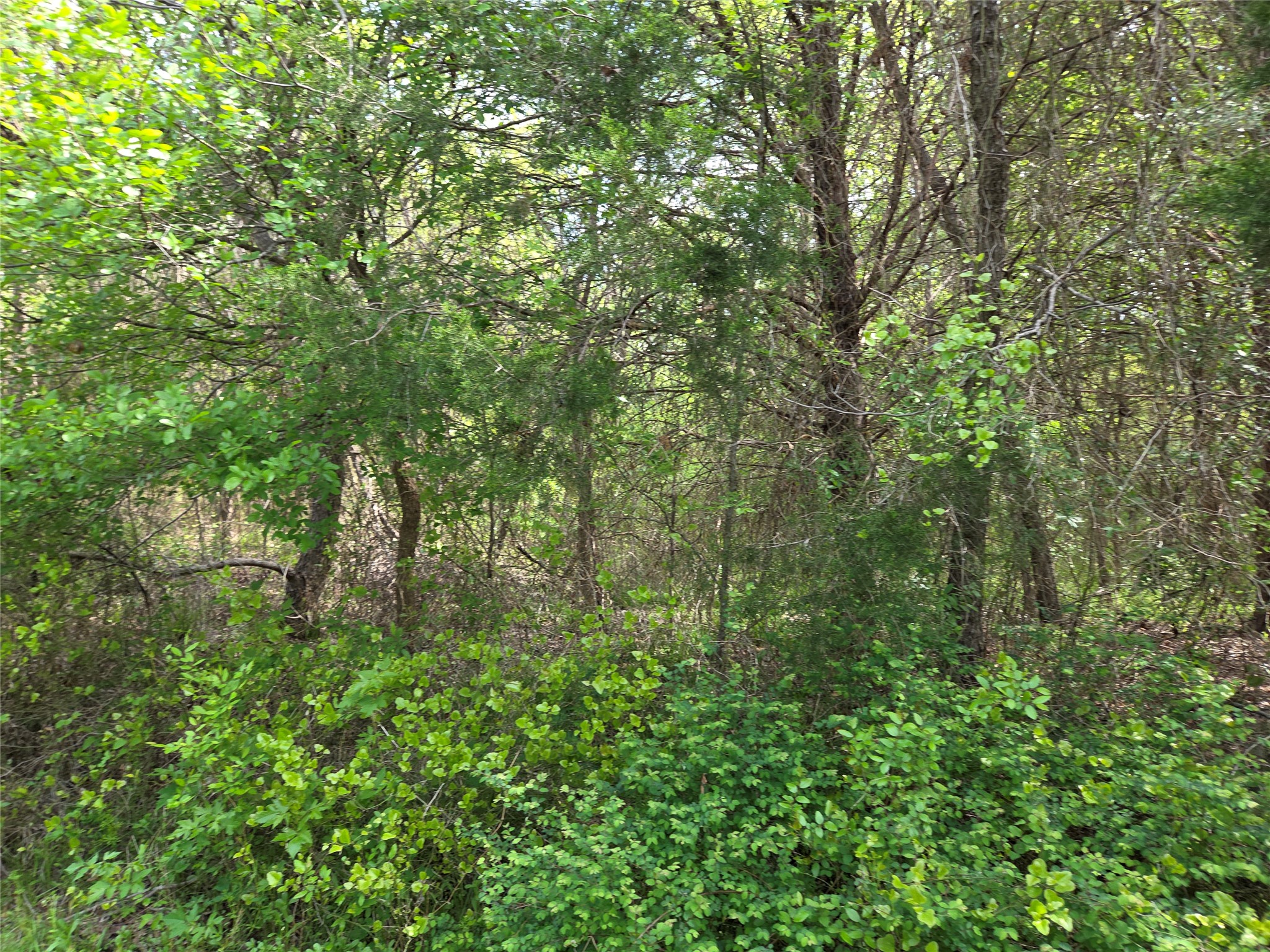 Lot 95 Stillwater Shores Drive Corsicana TX 75109