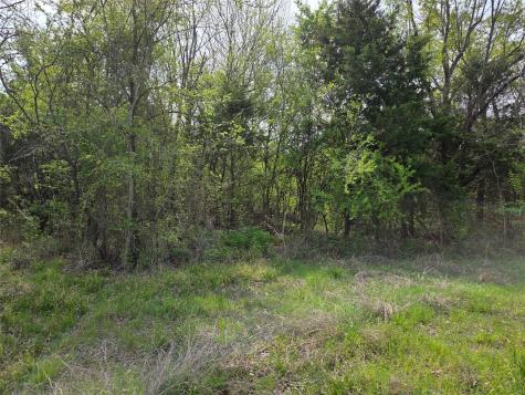Lot 95 Stillwater Shores Drive Corsicana TX 75109