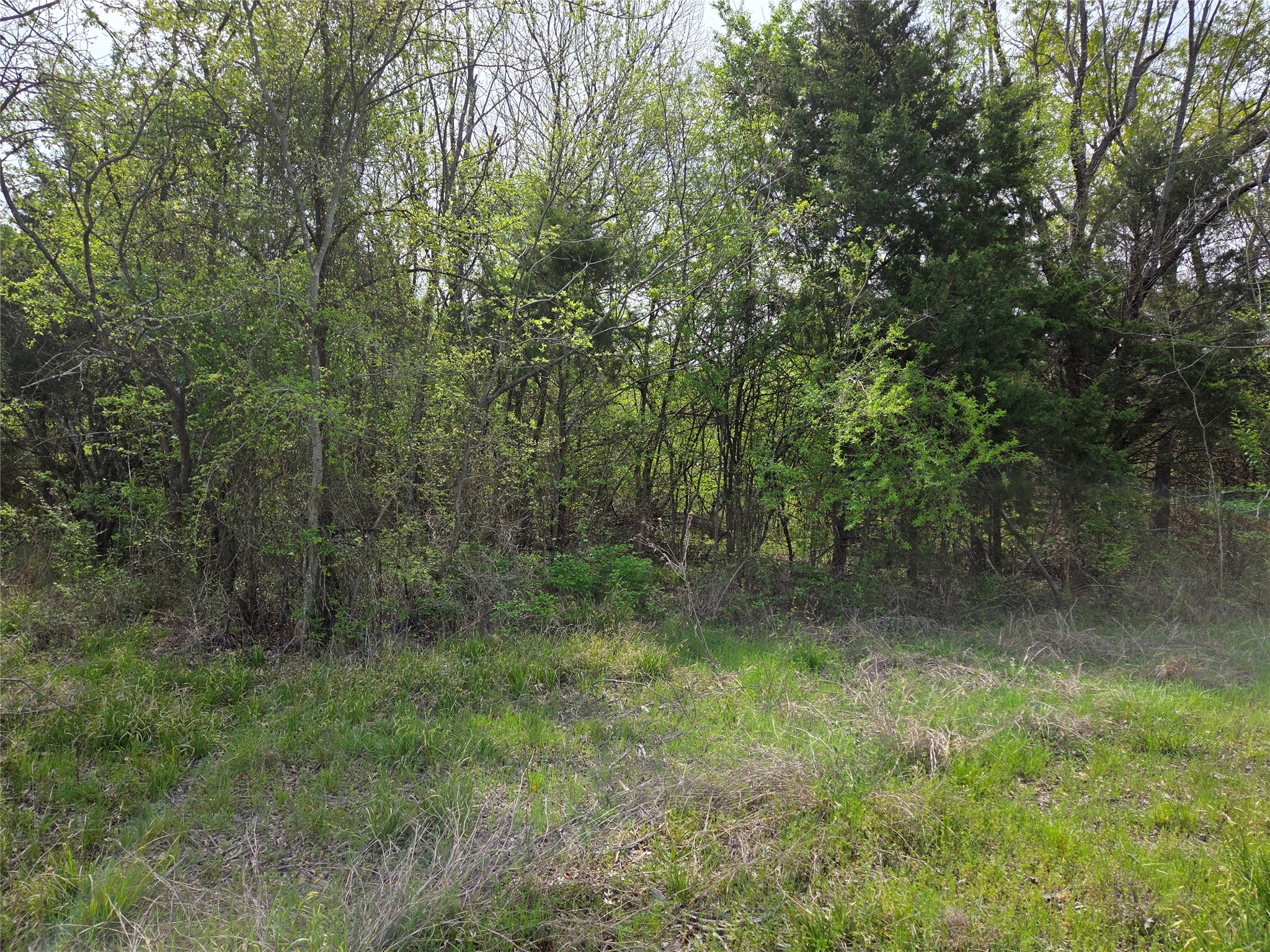 Lot 95 Stillwater Shores Drive Corsicana TX 75109