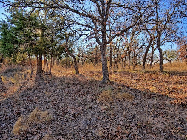 103 Diamond Oaks Drive Nocona TX 76255
