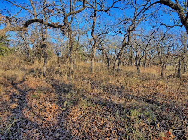 103 Diamond Oaks Drive Nocona TX 76255