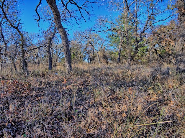103 Diamond Oaks Drive Nocona TX 76255