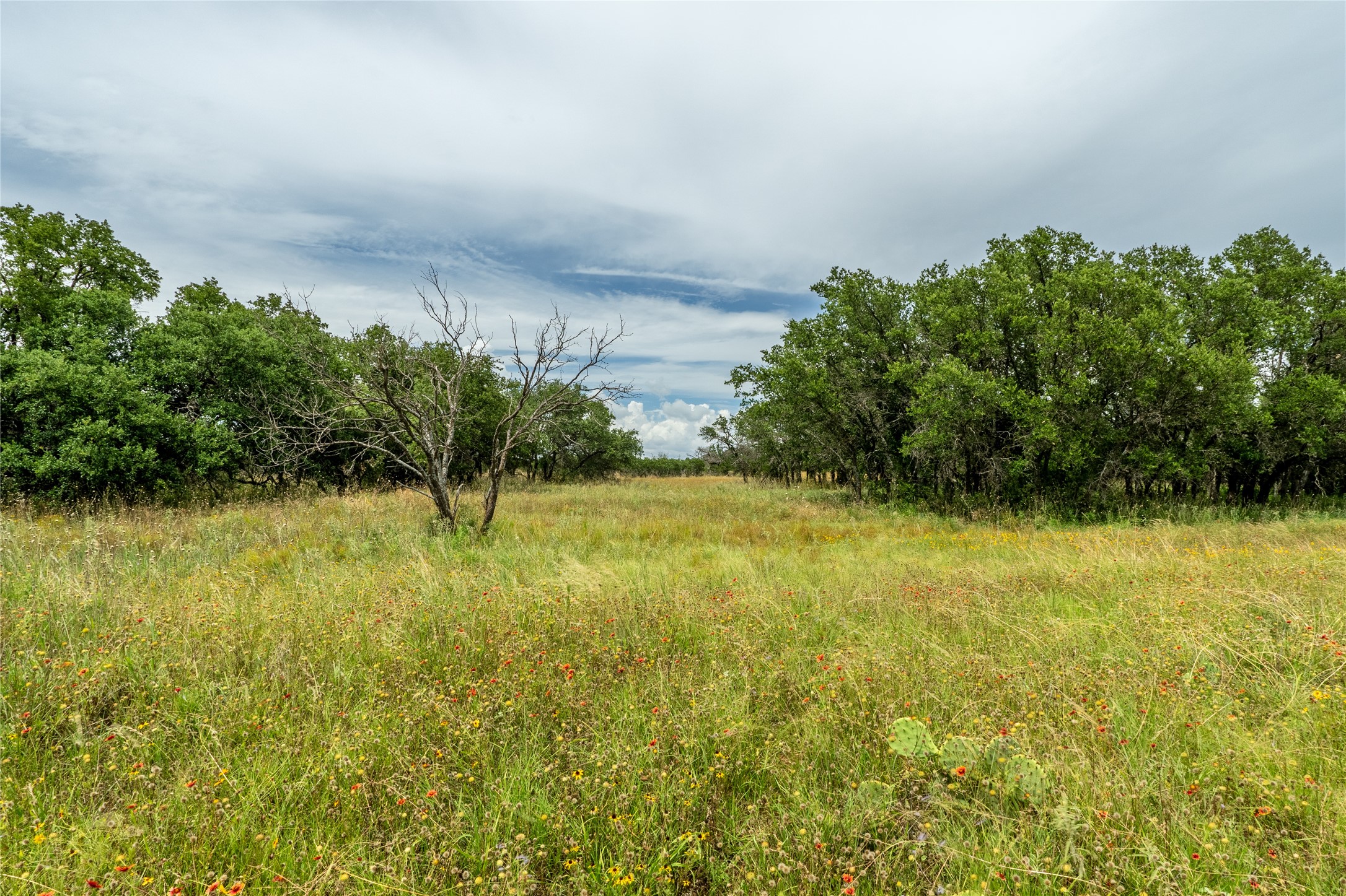400 County Road 186 De Leon TX 76444