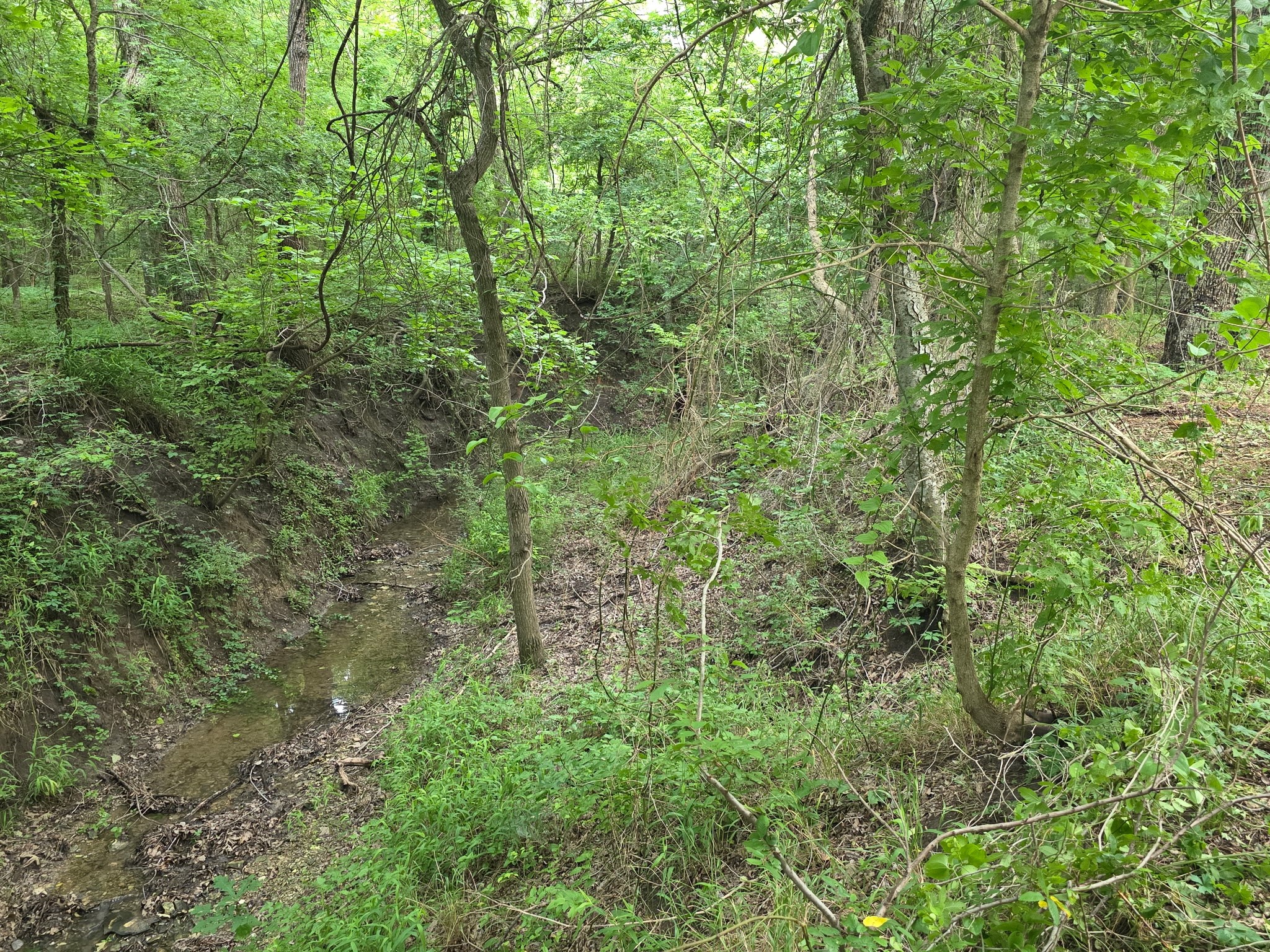 Tbd Lot 22 Ridgecrest Drive Waxahachie TX 75165