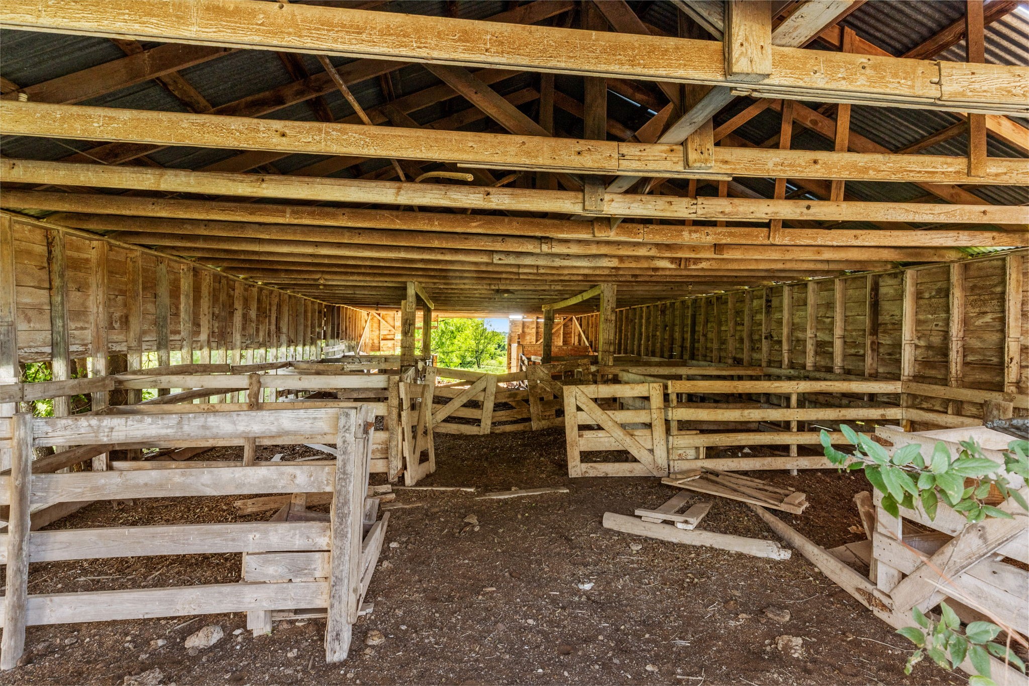 794.5 Ac Highway 82 Montague TX 76261