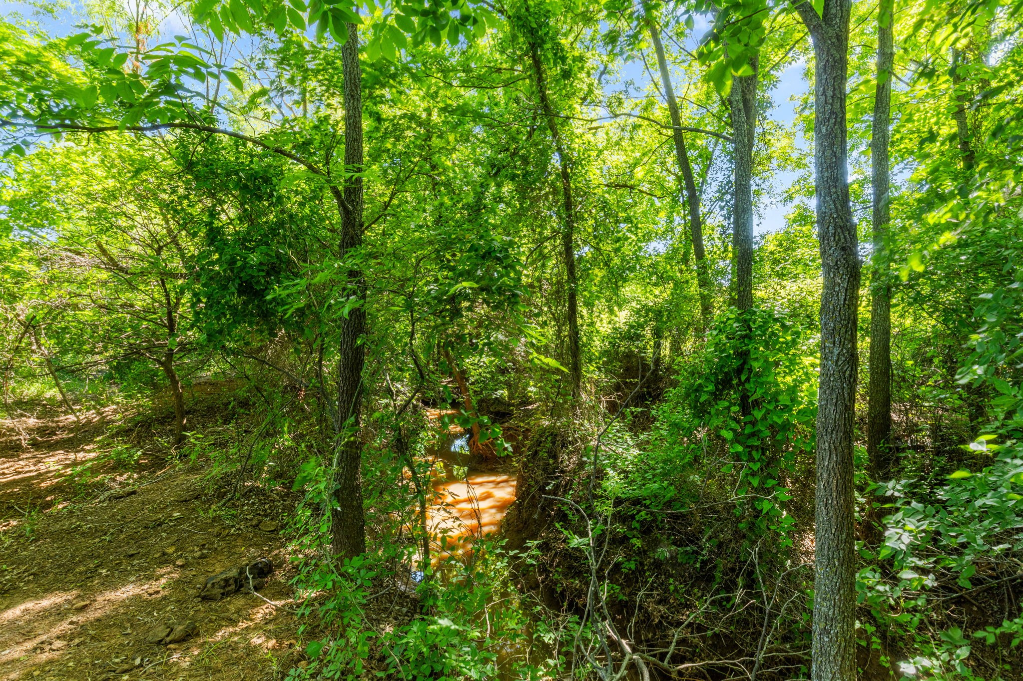 794.5 Ac Highway 82 Montague TX 76261