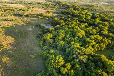 794.5 Ac Highway 82 Montague TX 76261