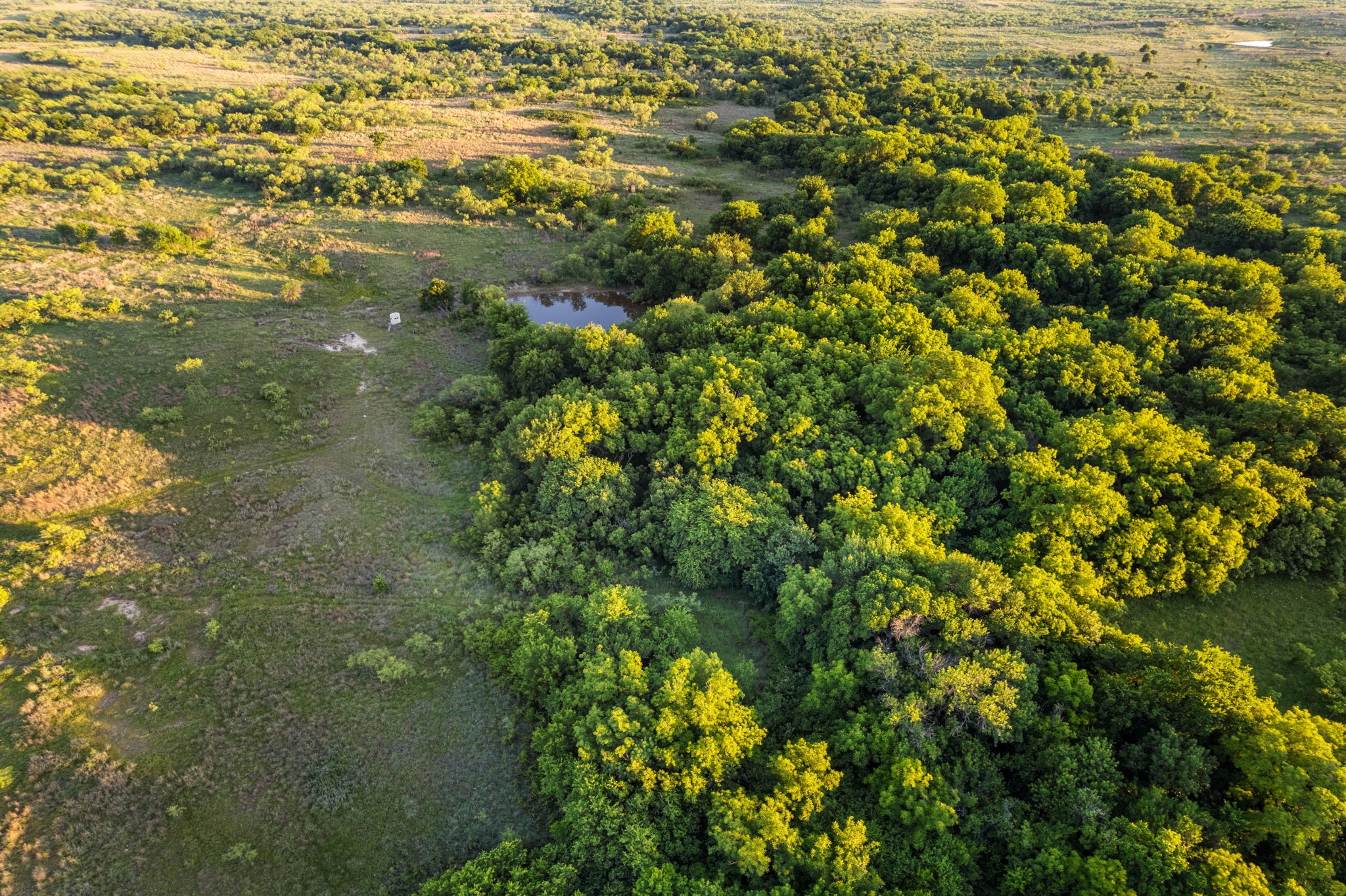 794.5 Ac Highway 82 Montague TX 76261