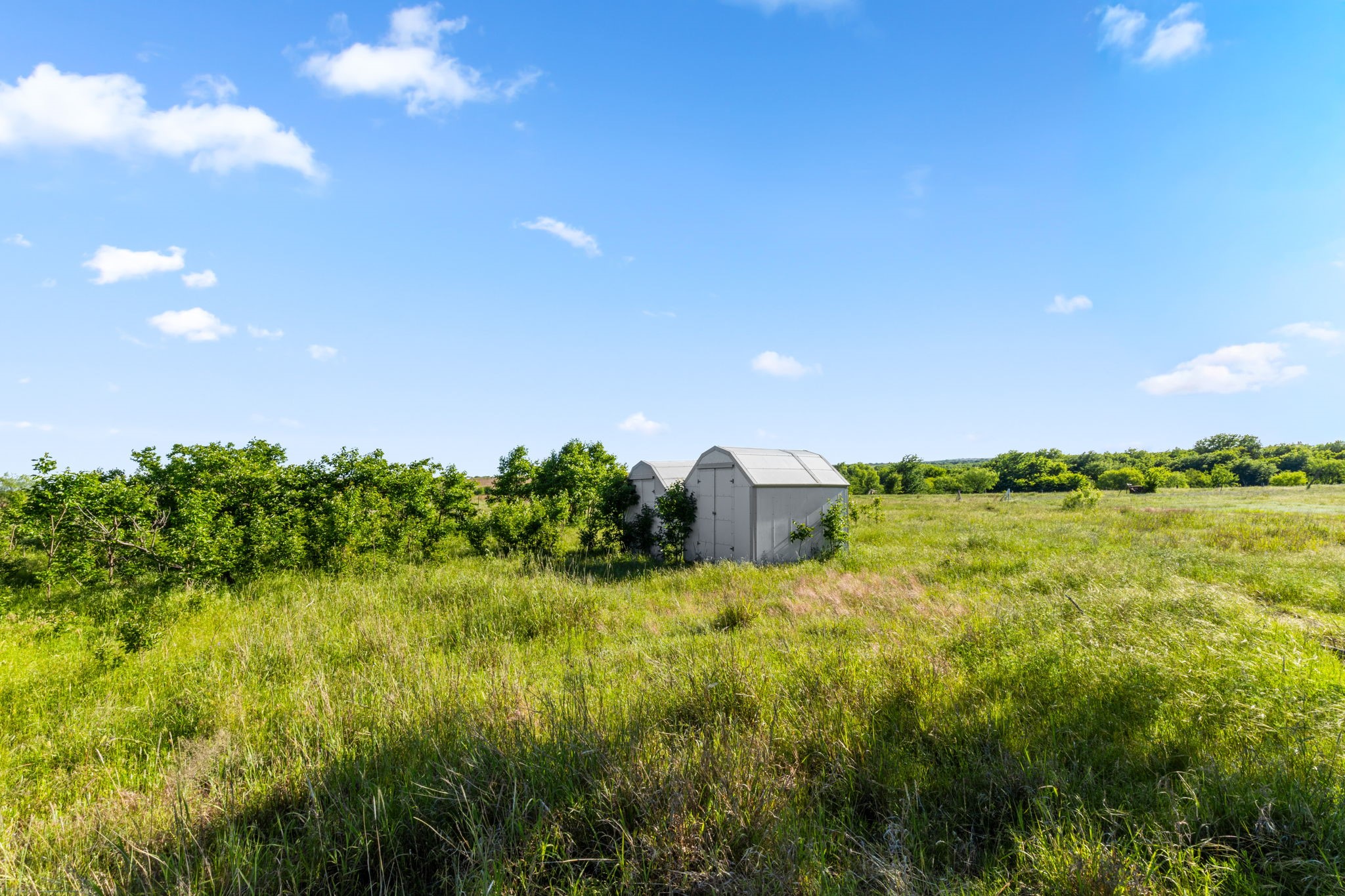 794.5 Ac Highway 82 Montague TX 76261