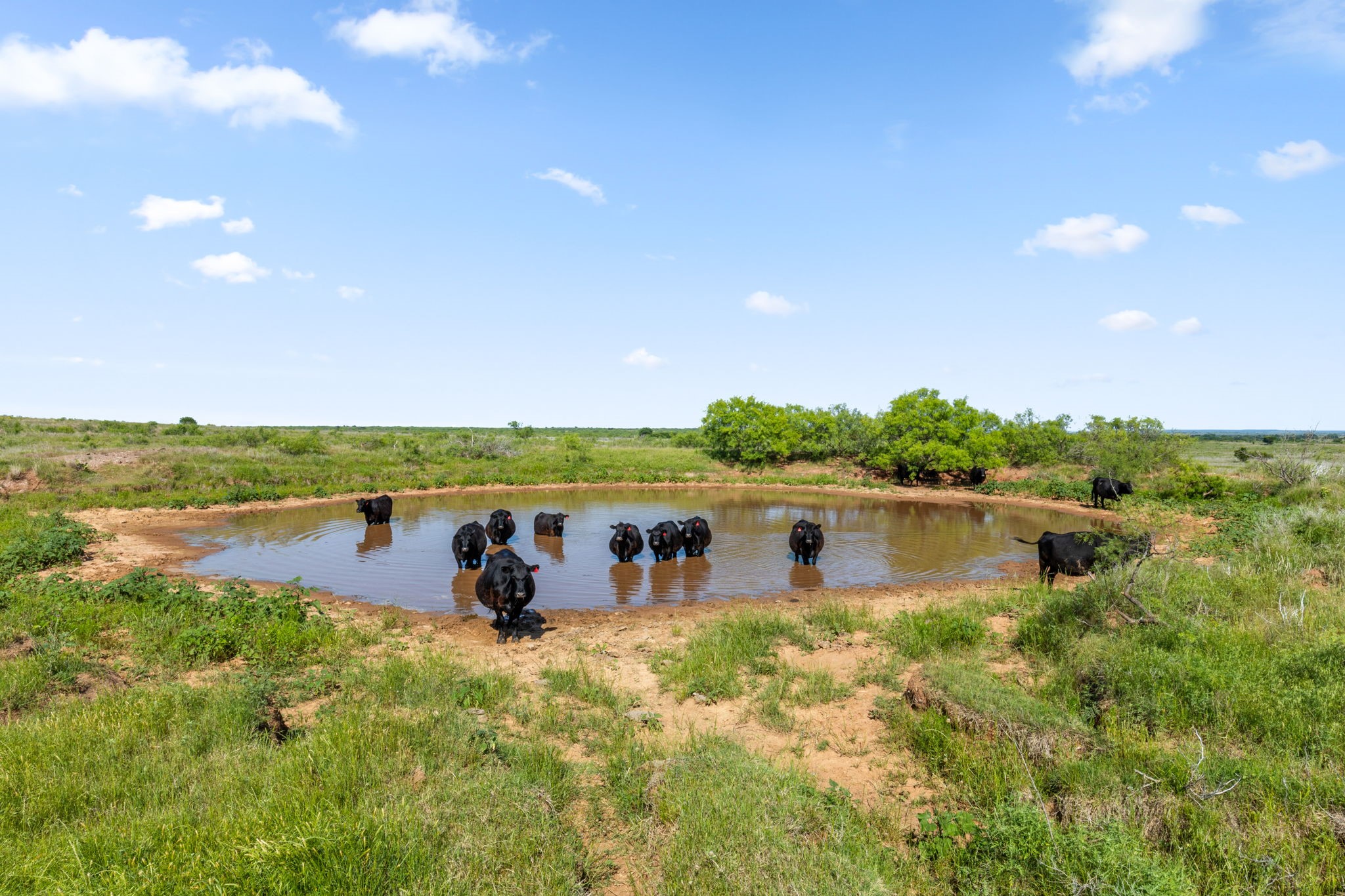 794.5 Ac Highway 82 Montague TX 76261