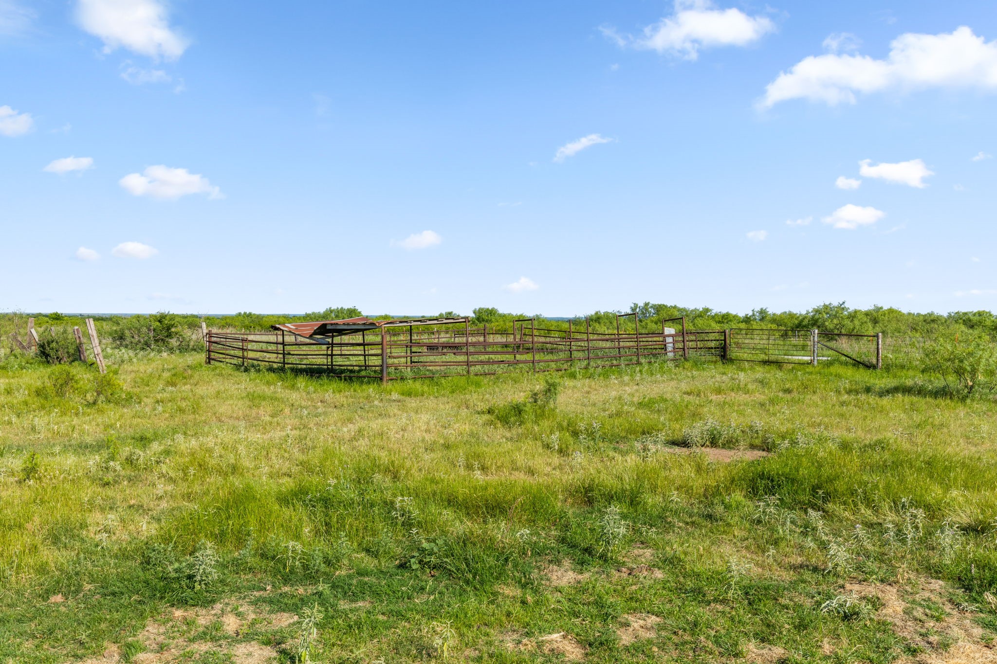 794.5 Ac Highway 82 Montague TX 76261