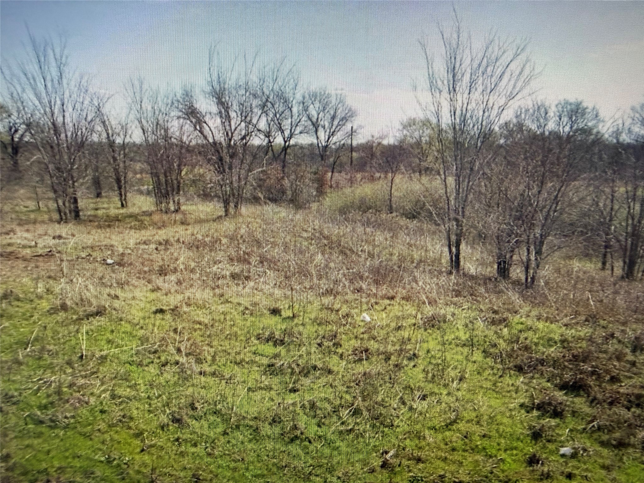 Lot 19 Reast Road Whitesboro TX 76273