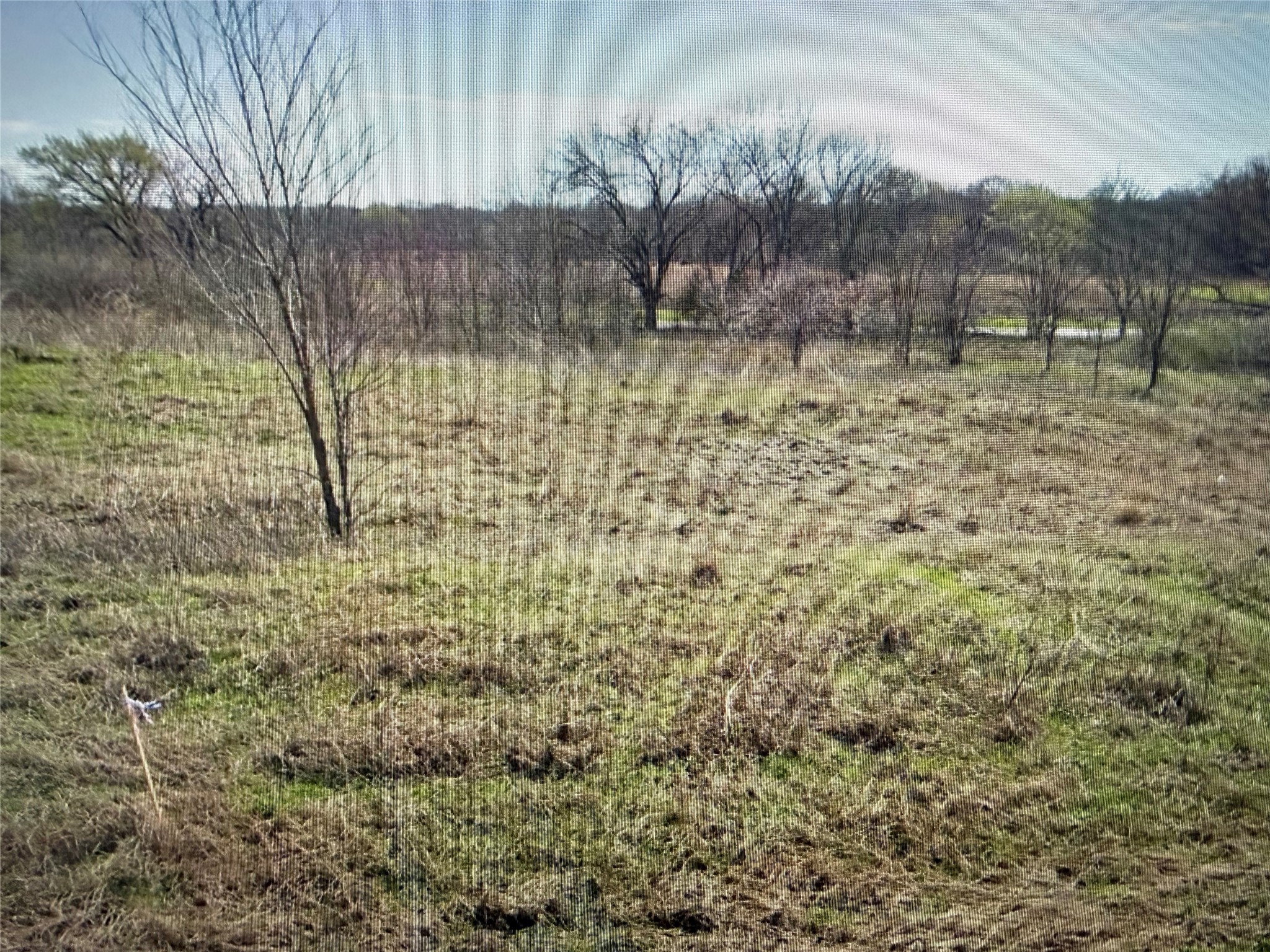 Lot 19 Reast Road Whitesboro TX 76273