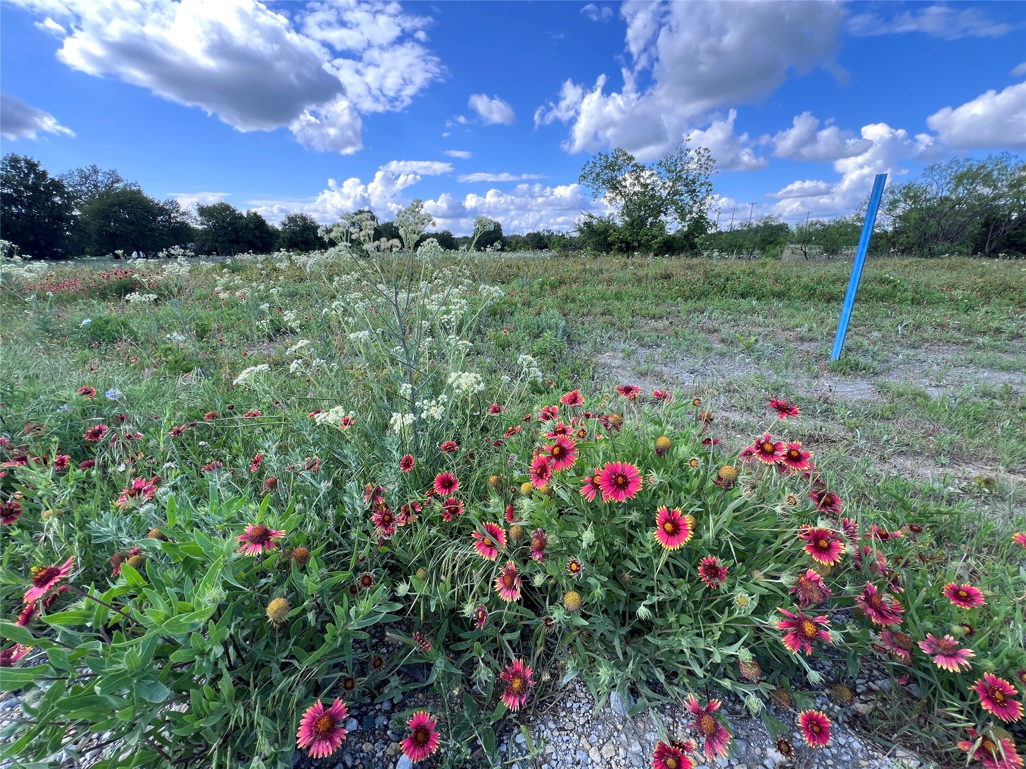 Tbd Lot 2 Live Oak Trail Clyde TX 79510
