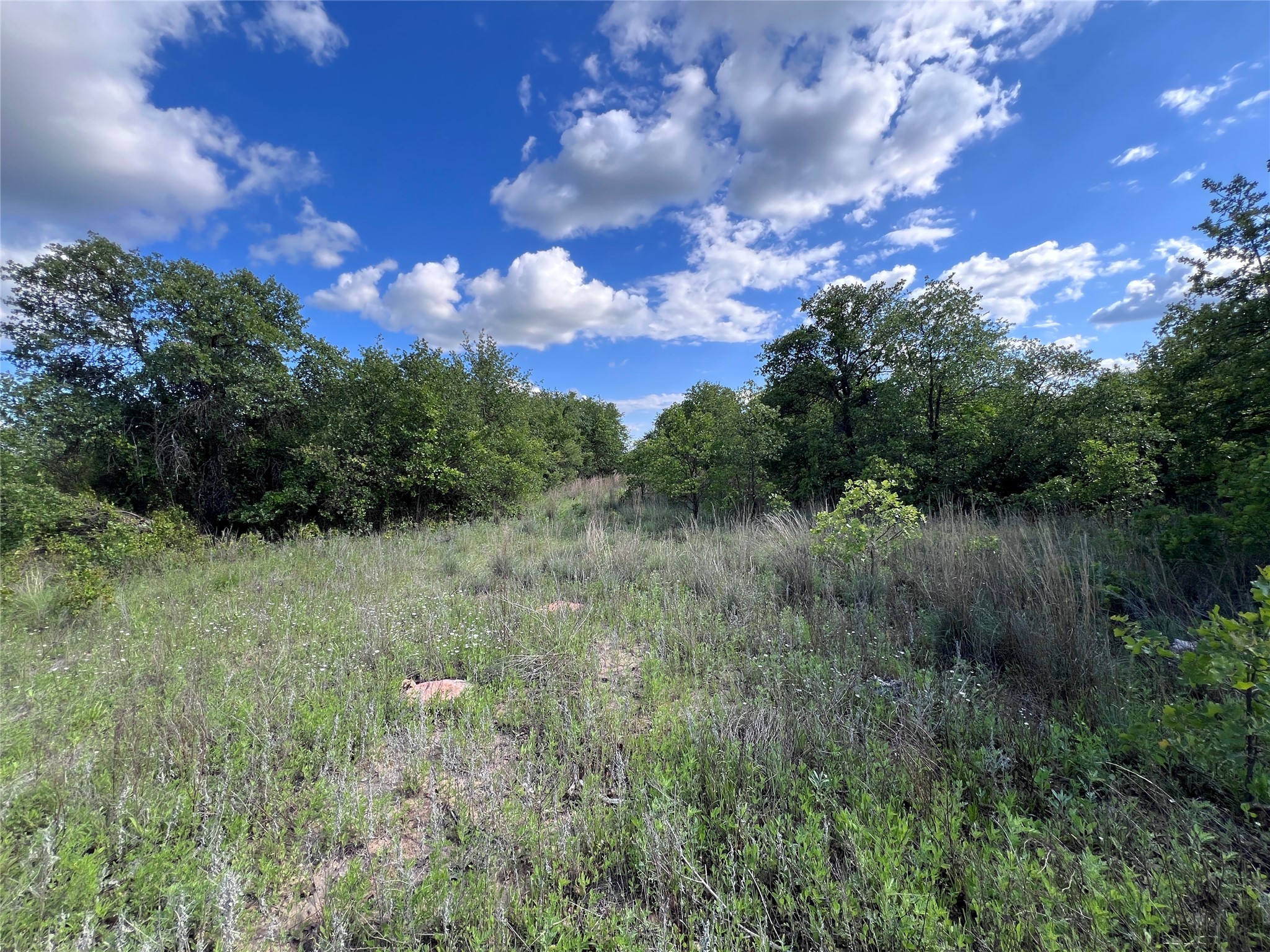 Tbd Lot 2 Live Oak Trail Clyde TX 79510