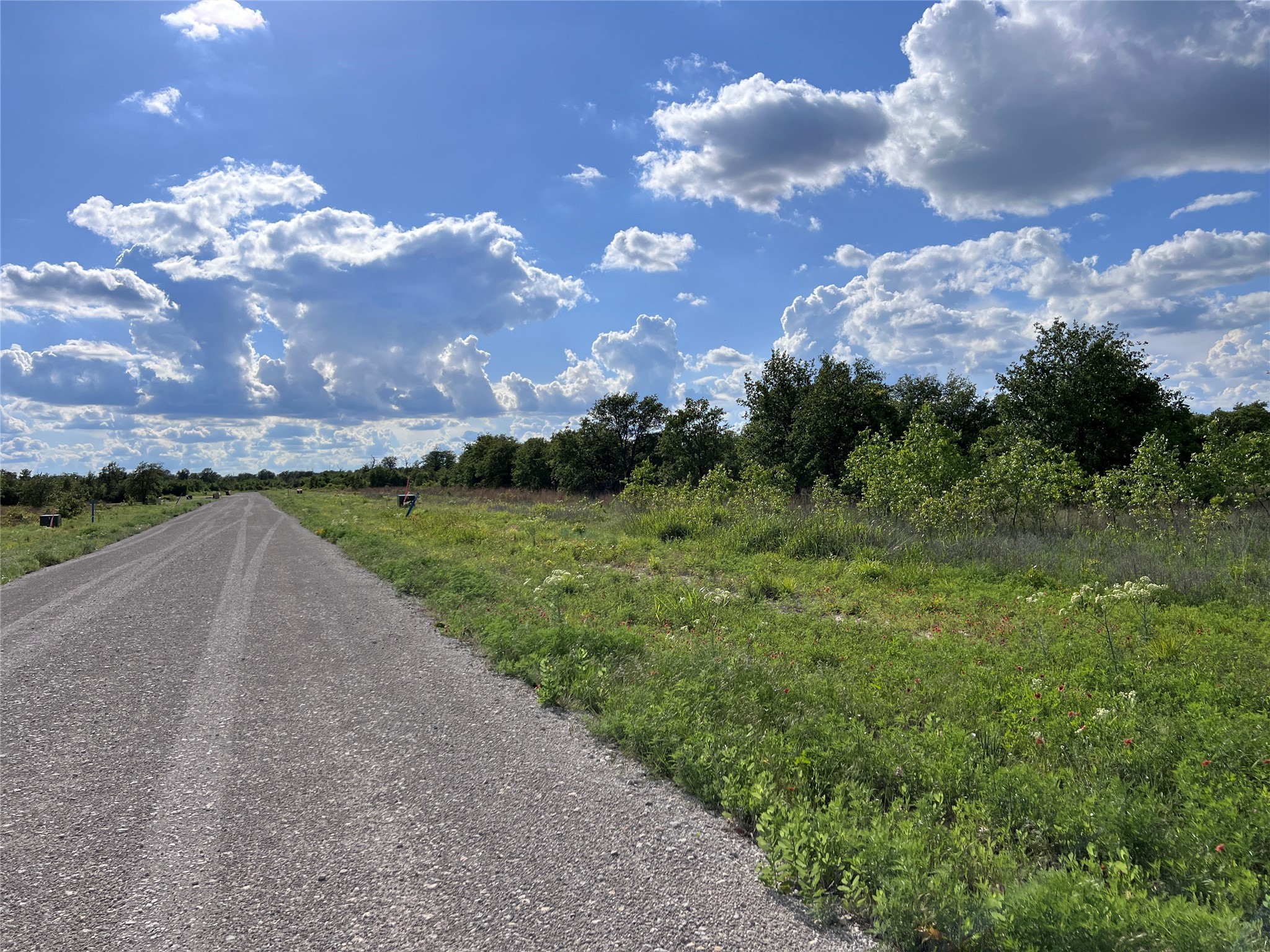 Tbd Lot 2 Live Oak Trail Clyde TX 79510