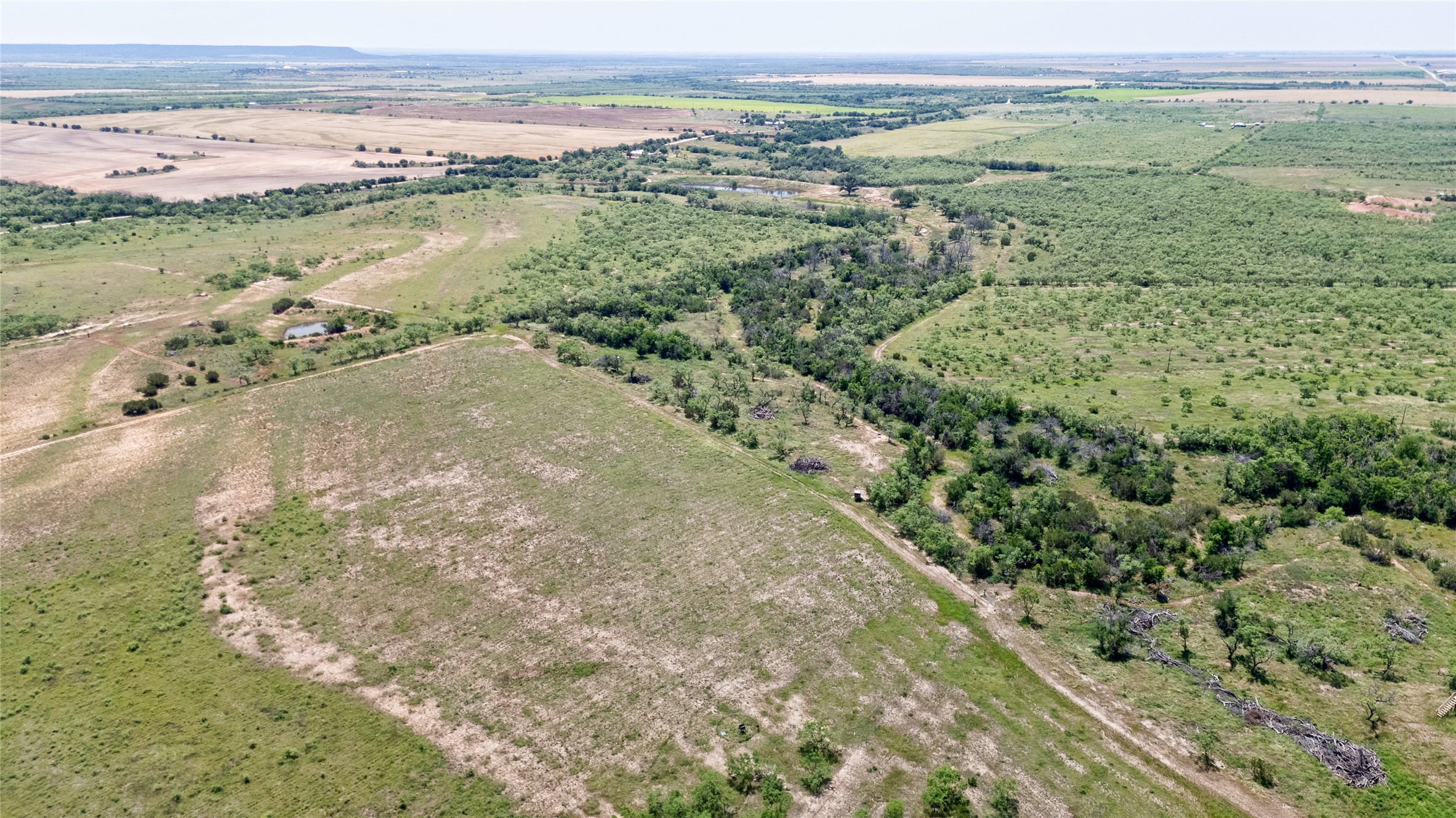 Tbd County Road 196 Ovalo TX 79541
