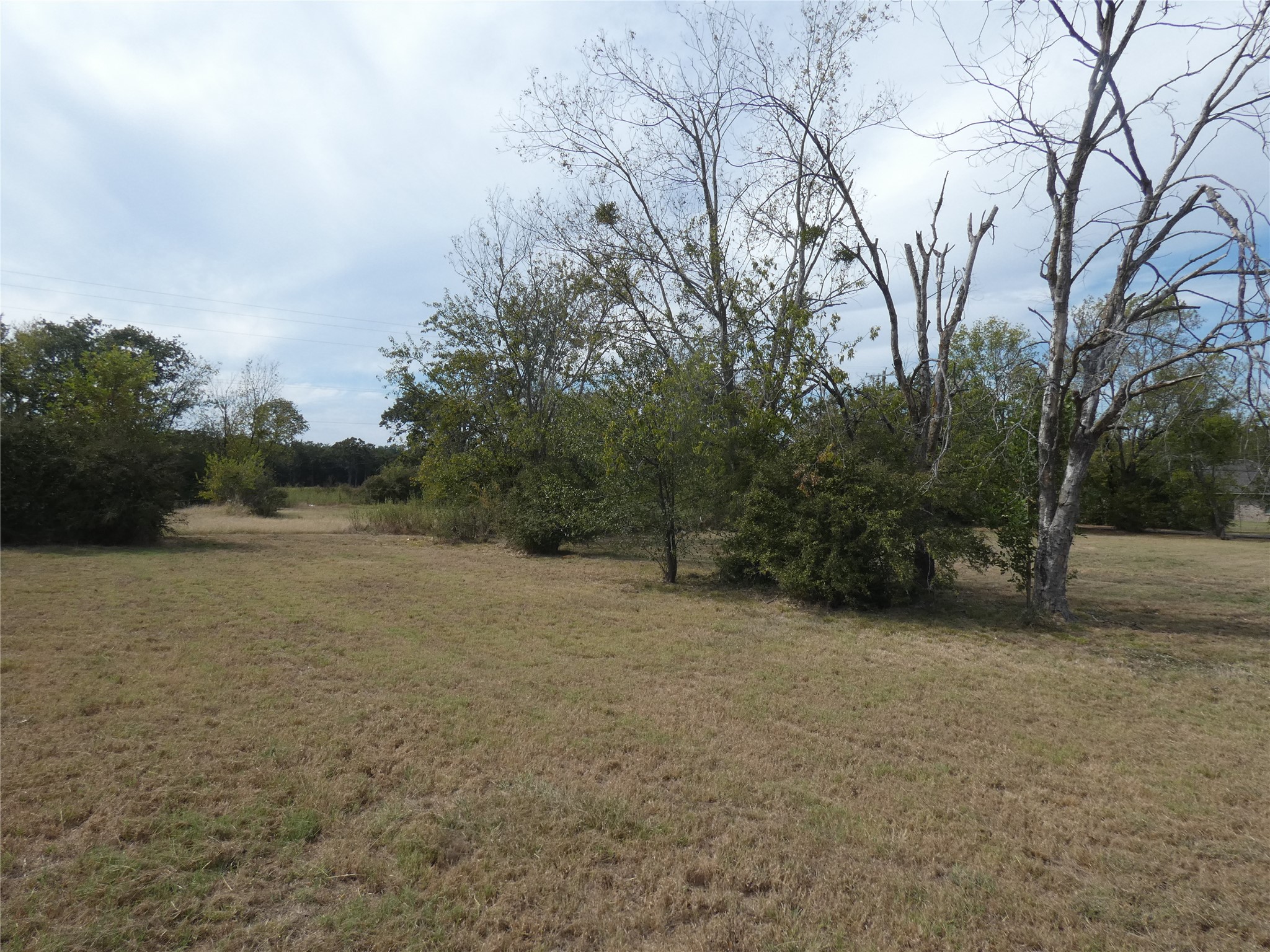 0 Hawkins Terrell TX 75160