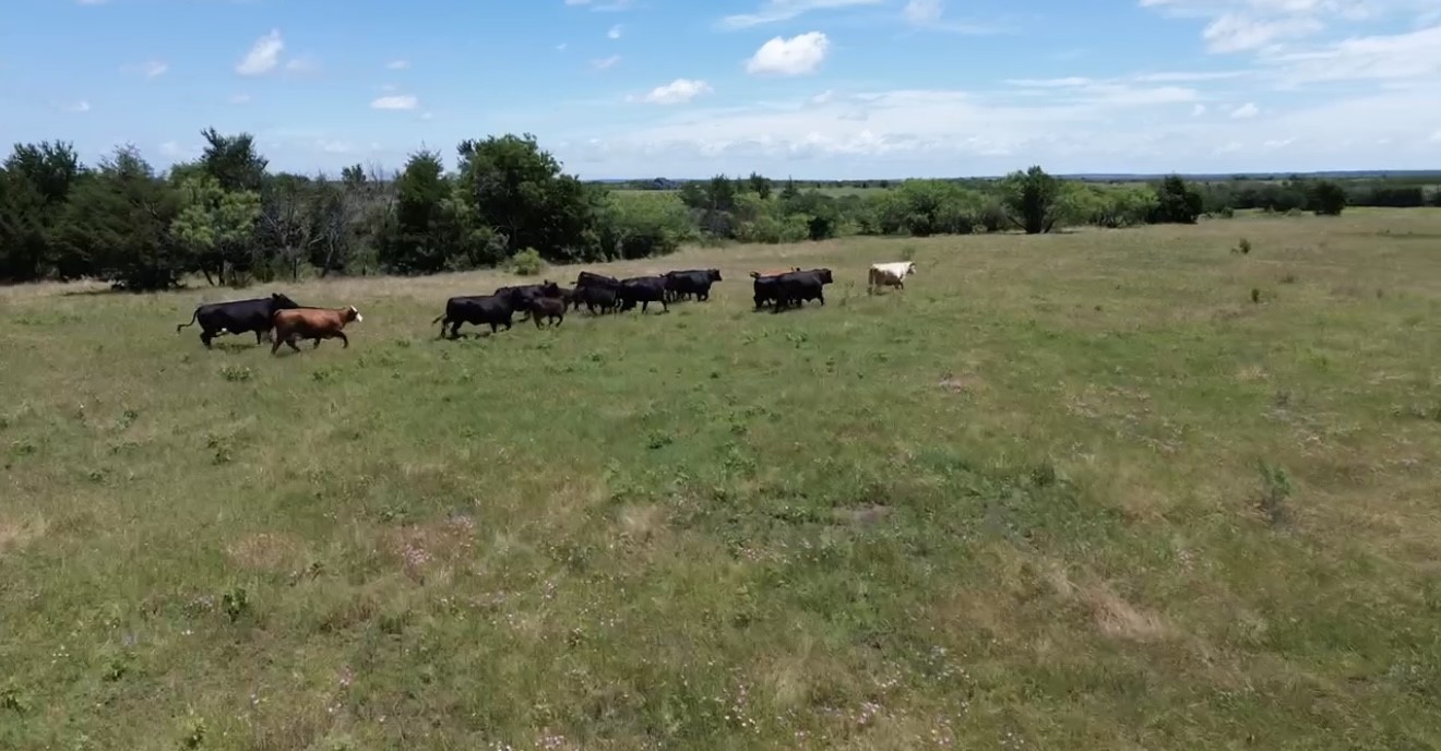 7.5 Acres Keyes Road Sherman TX 75092