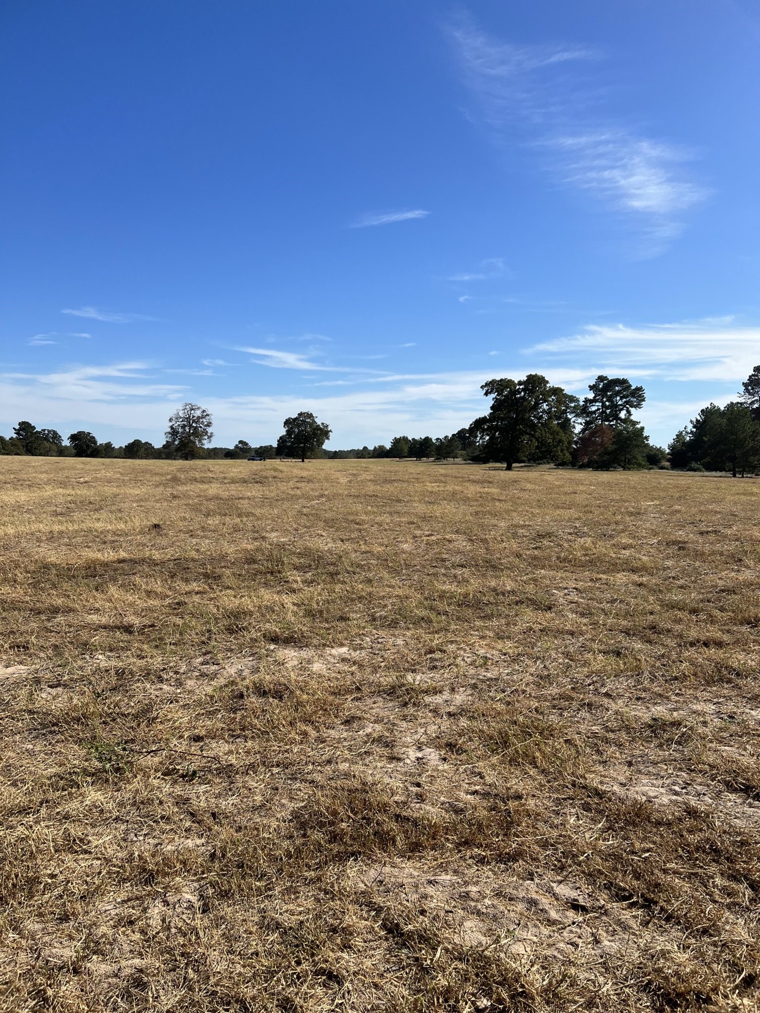 Tbd Pr 1315 Centerville TX 75833