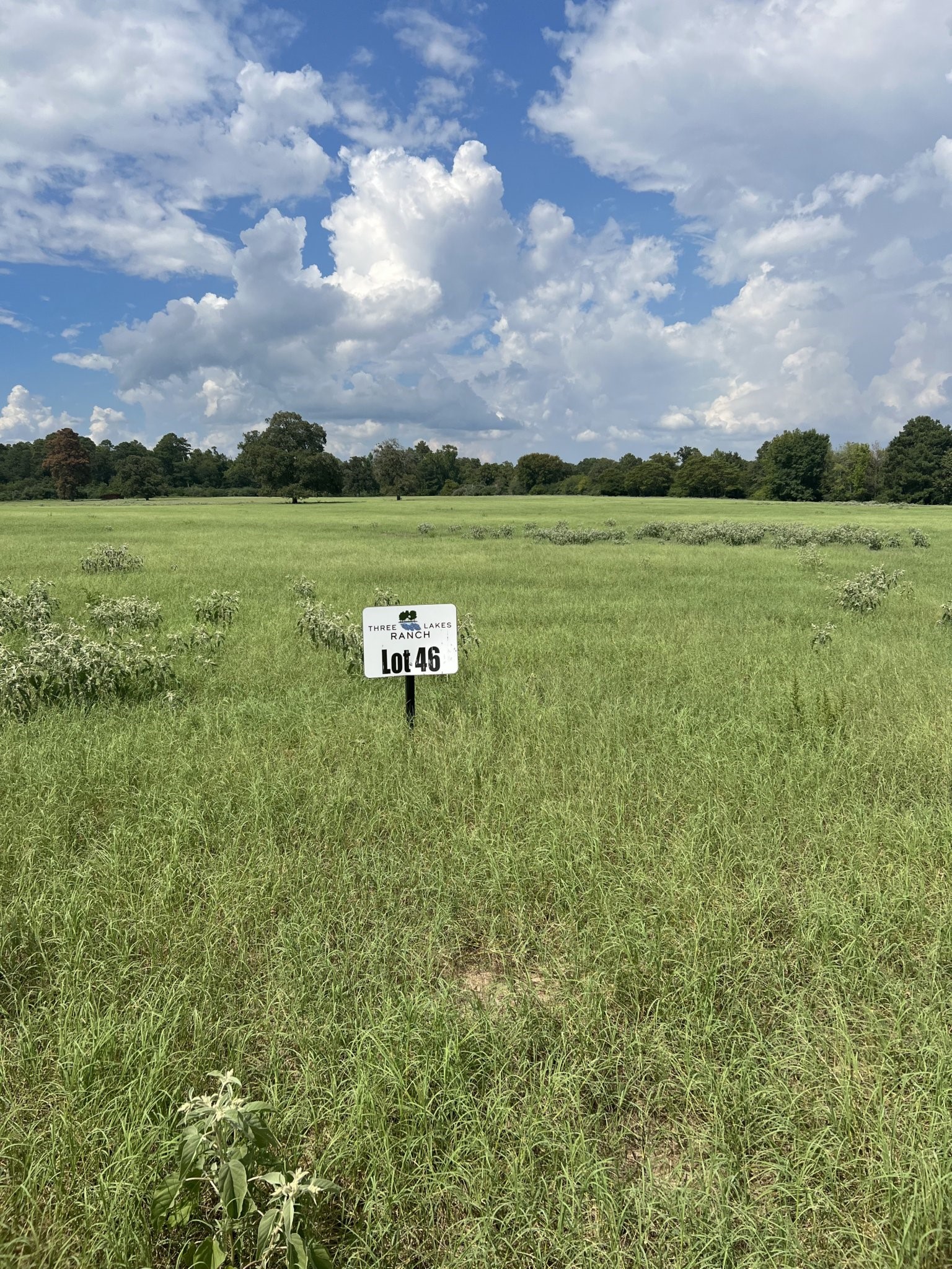 Tbd Pr 1315 Centerville TX 75833