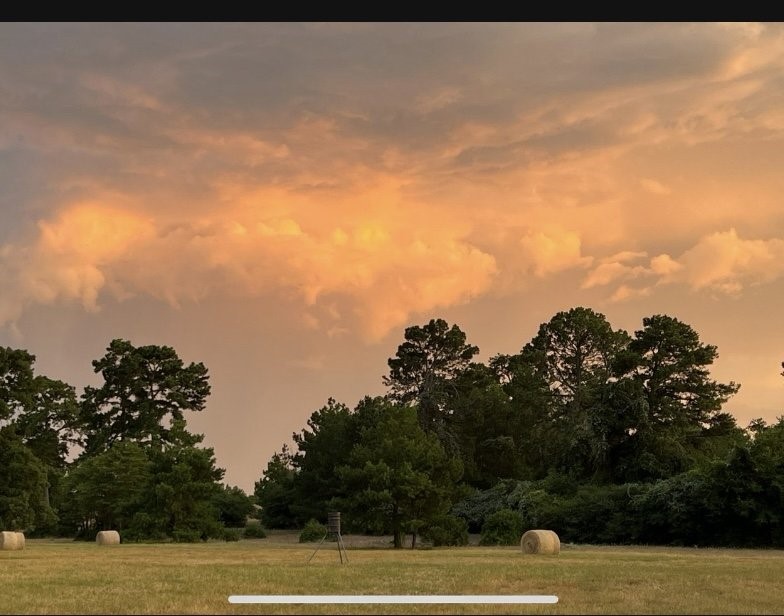 Tbd Pr 1315 Centerville TX 75833