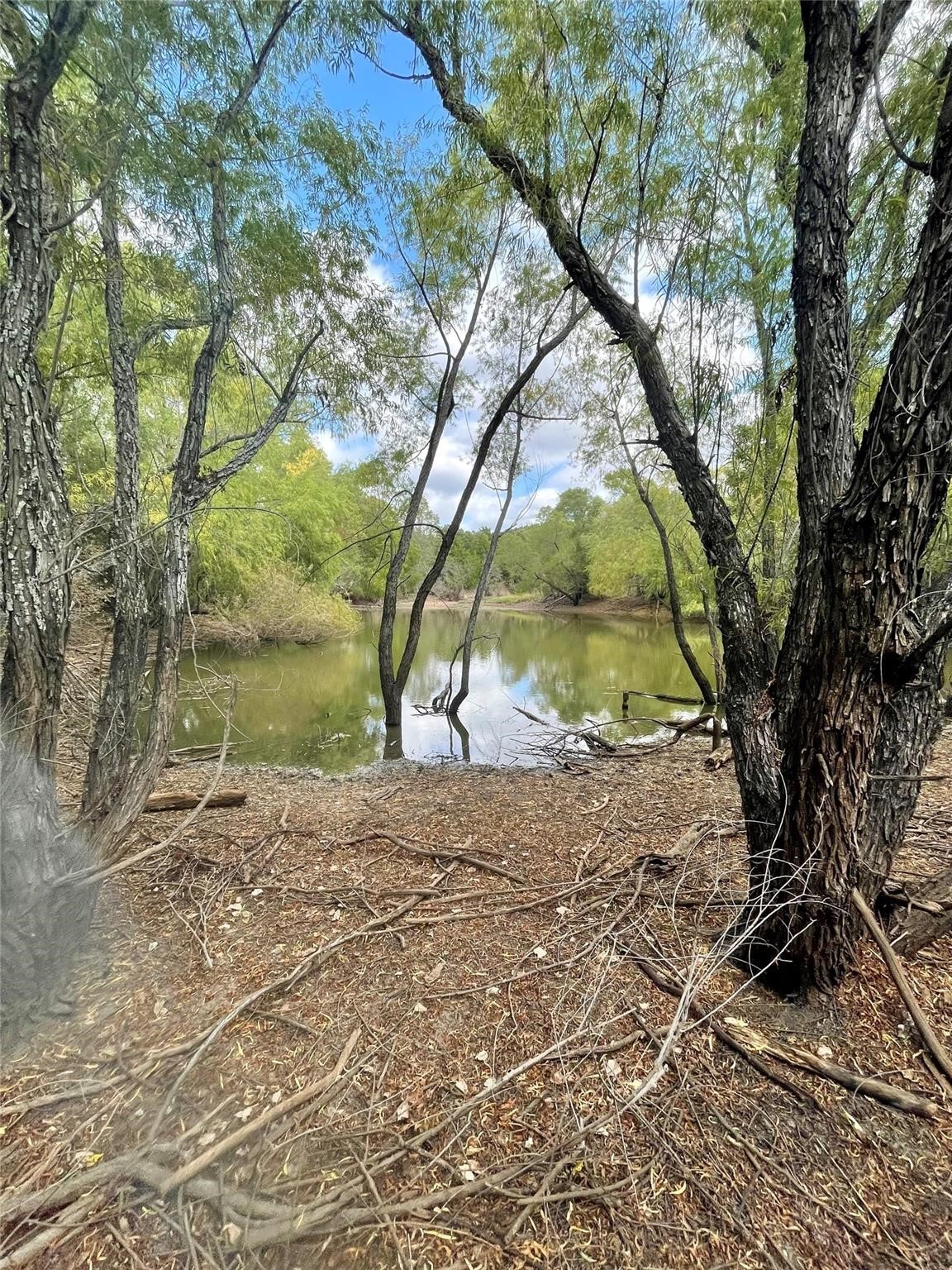 334 Greanead Road Forestburg TX 76239