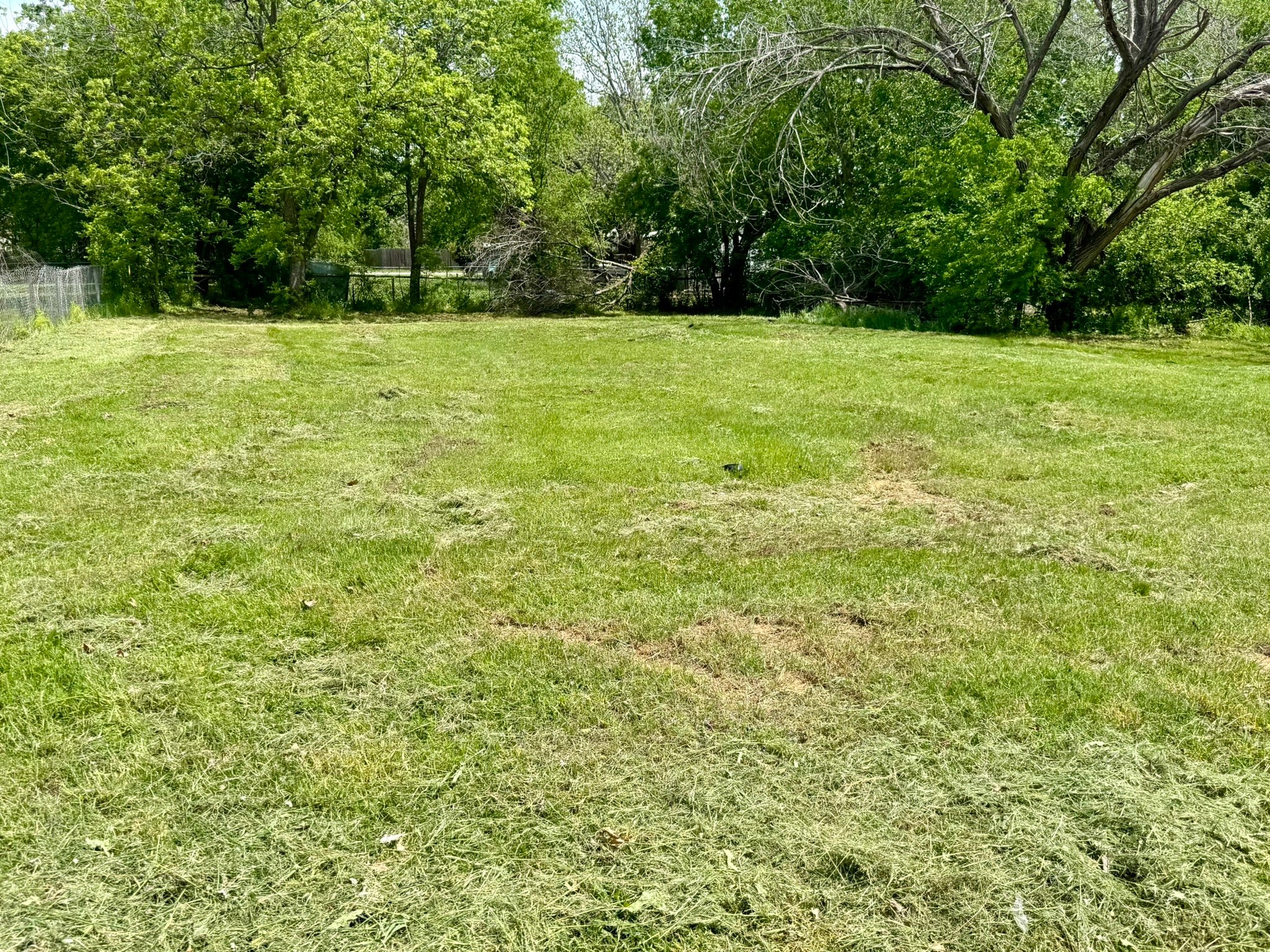 205 W Houston Street Bowie TX 76230
