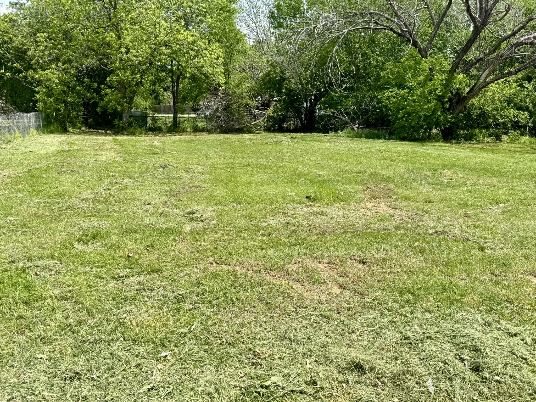 205 W Houston Street Bowie TX 76230