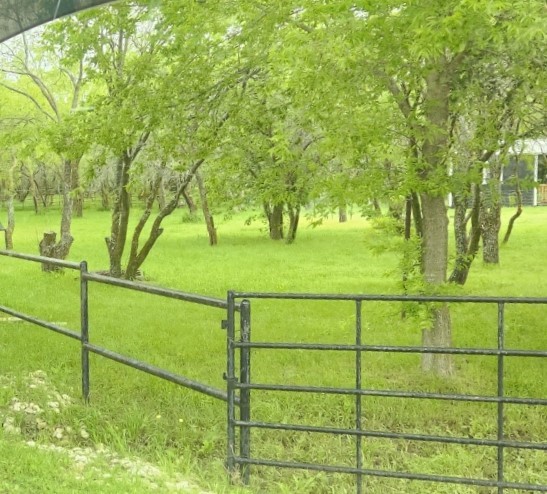 261 Vickie Lane Gunter TX 75058