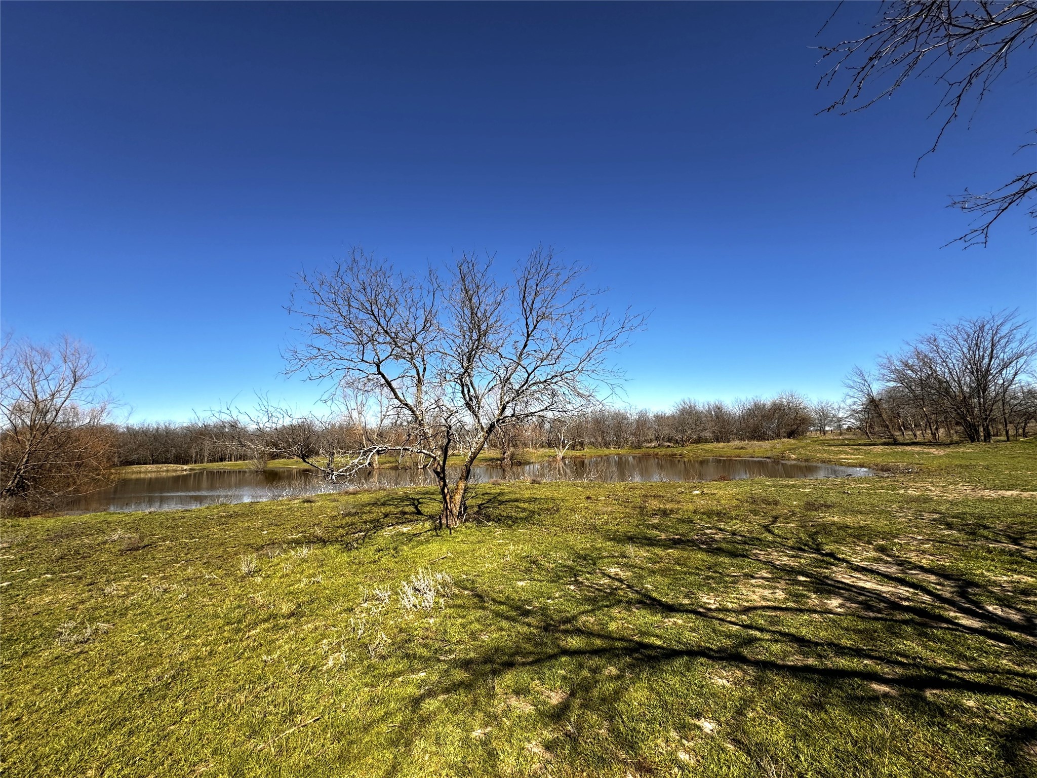 261 Vickie Lane Gunter TX 75058