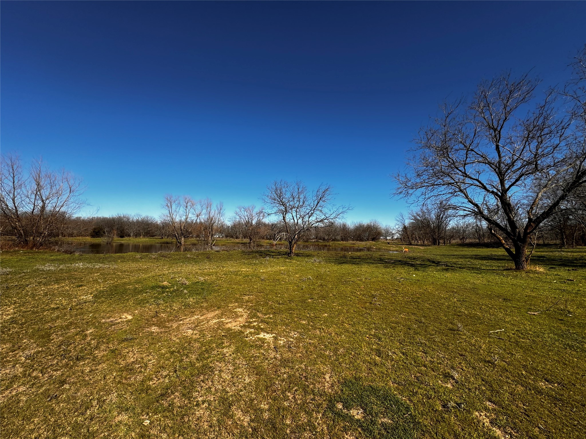 261 Vickie Lane Gunter TX 75058