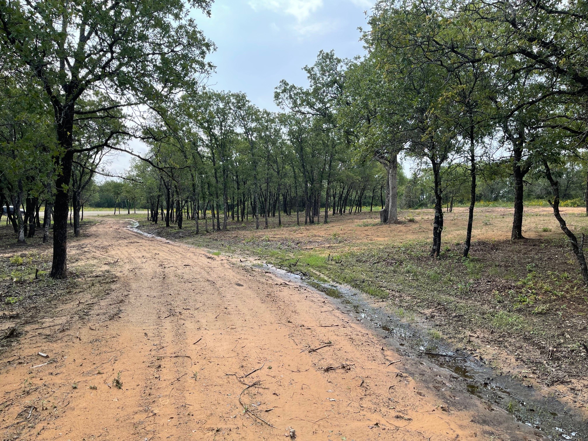 Tbd - Lot 88 Blissful Court Graford TX 76449