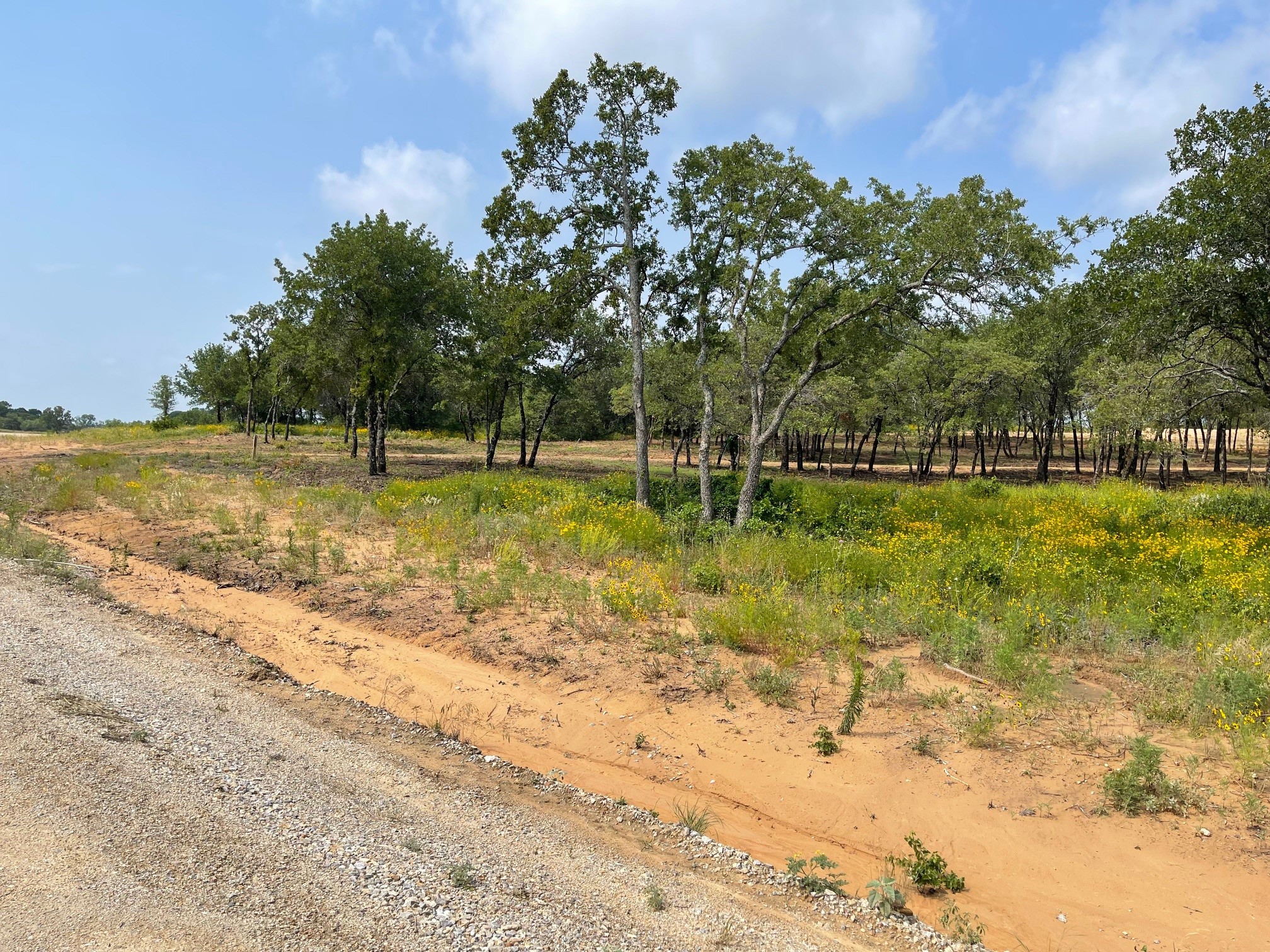 Tbd - Lot 88 Blissful Court Graford TX 76449