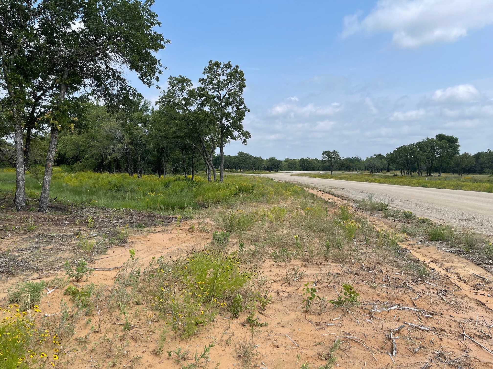 Tbd - Lot 88 Blissful Court Graford TX 76449