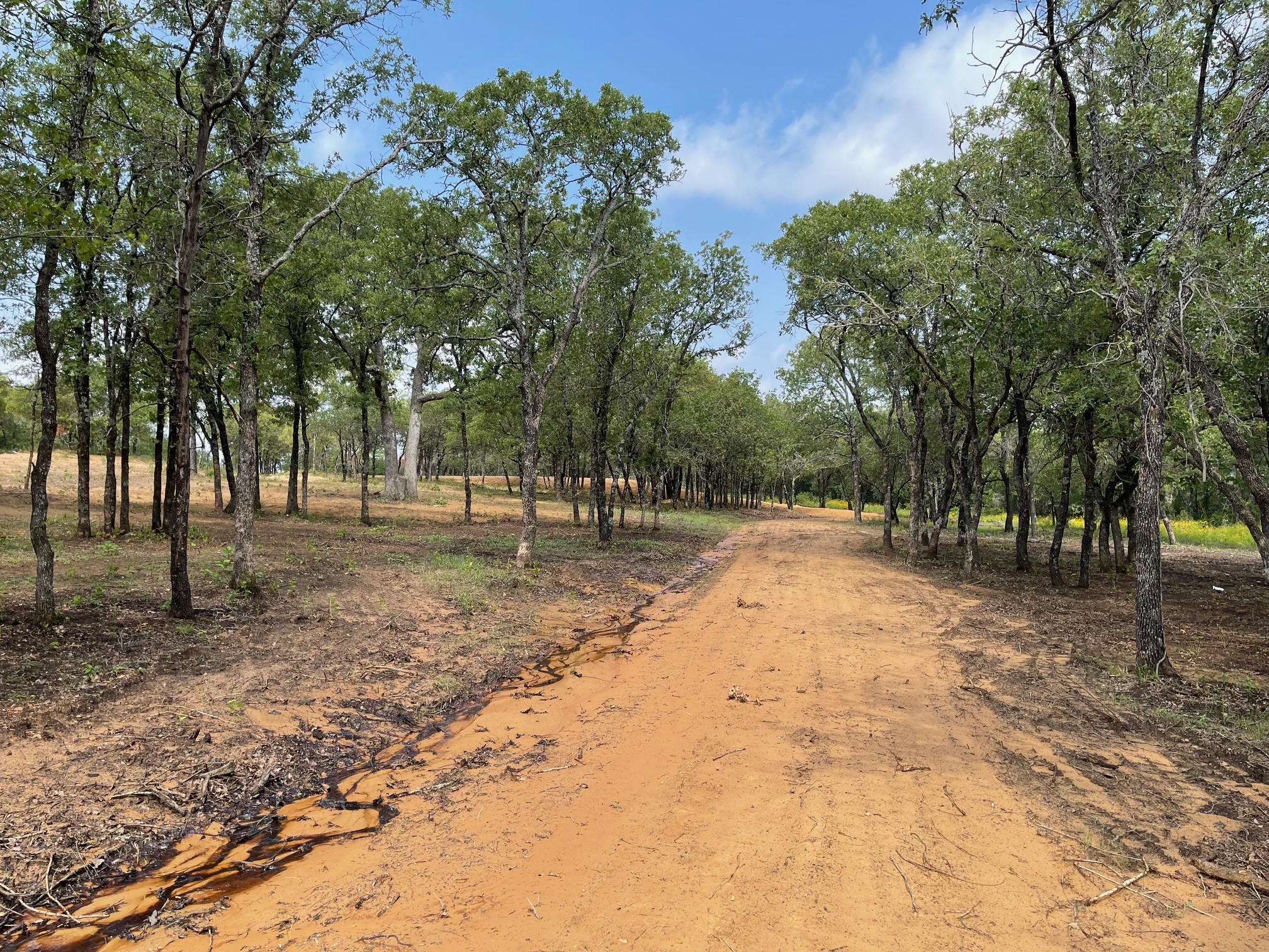 Tbd - Lot 88 Blissful Court Graford TX 76449