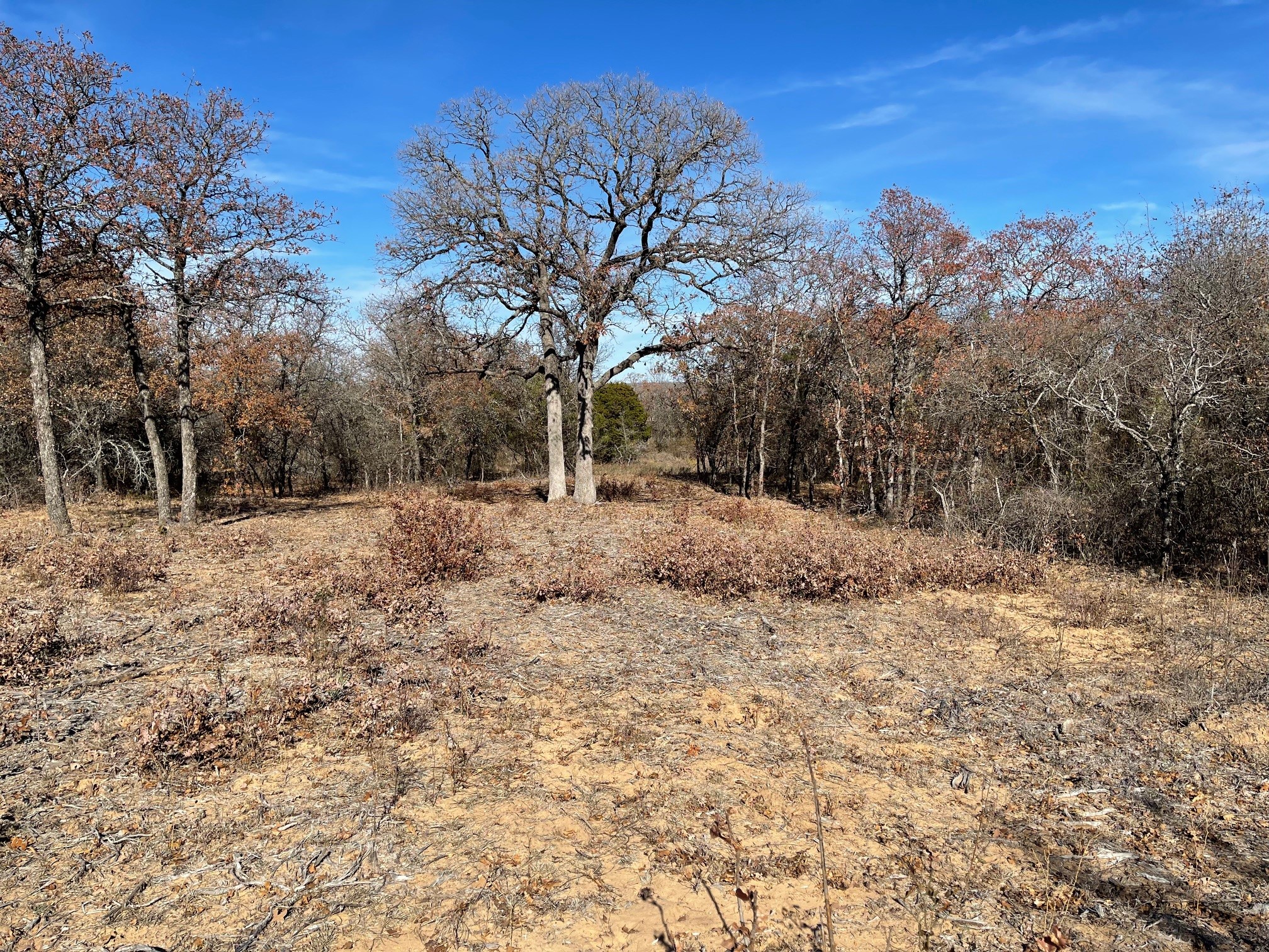Tbd - Lot 88 Blissful Court Graford TX 76449