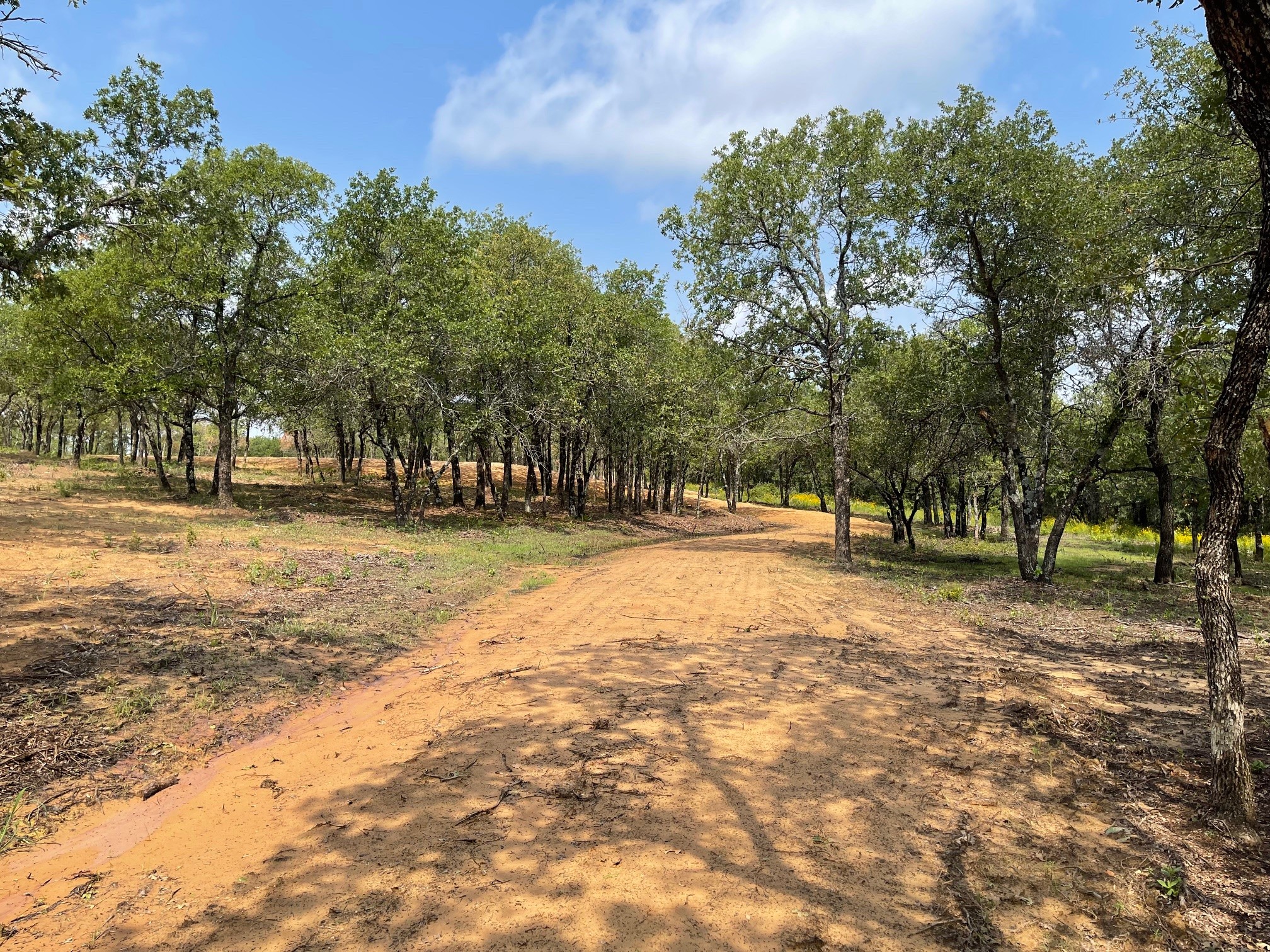 Tbd - Lot 88 Blissful Court Graford TX 76449