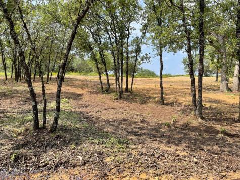 Tbd - Lot 88 Blissful Court Graford TX 76449