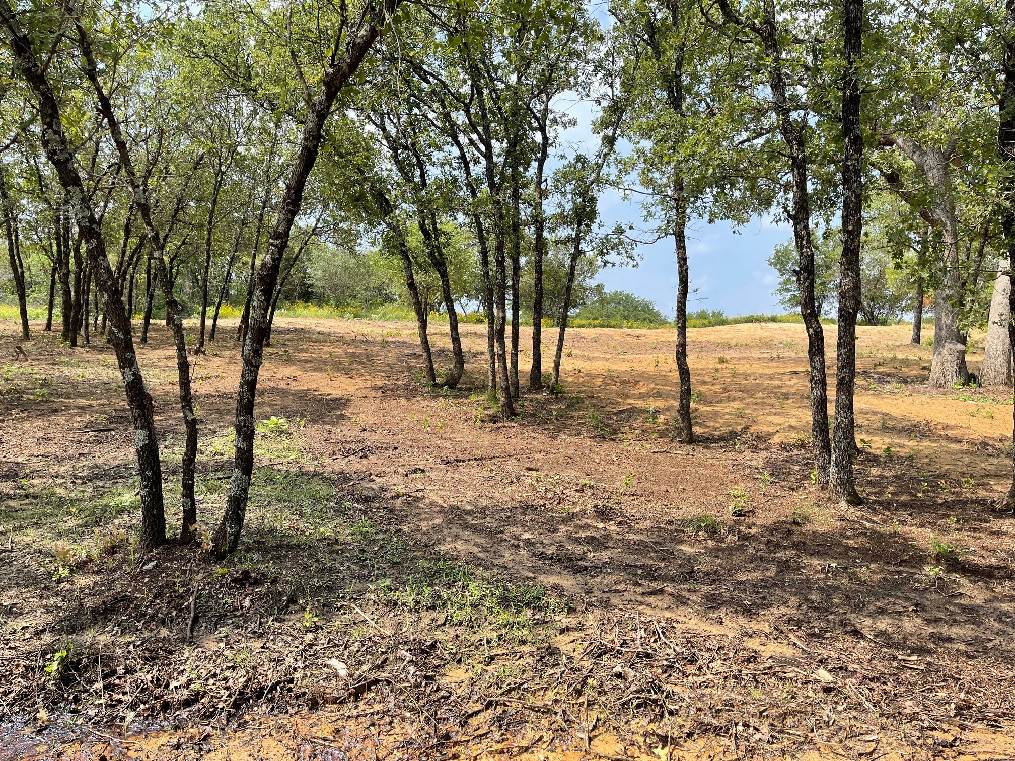 Tbd - Lot 88 Blissful Court Graford TX 76449