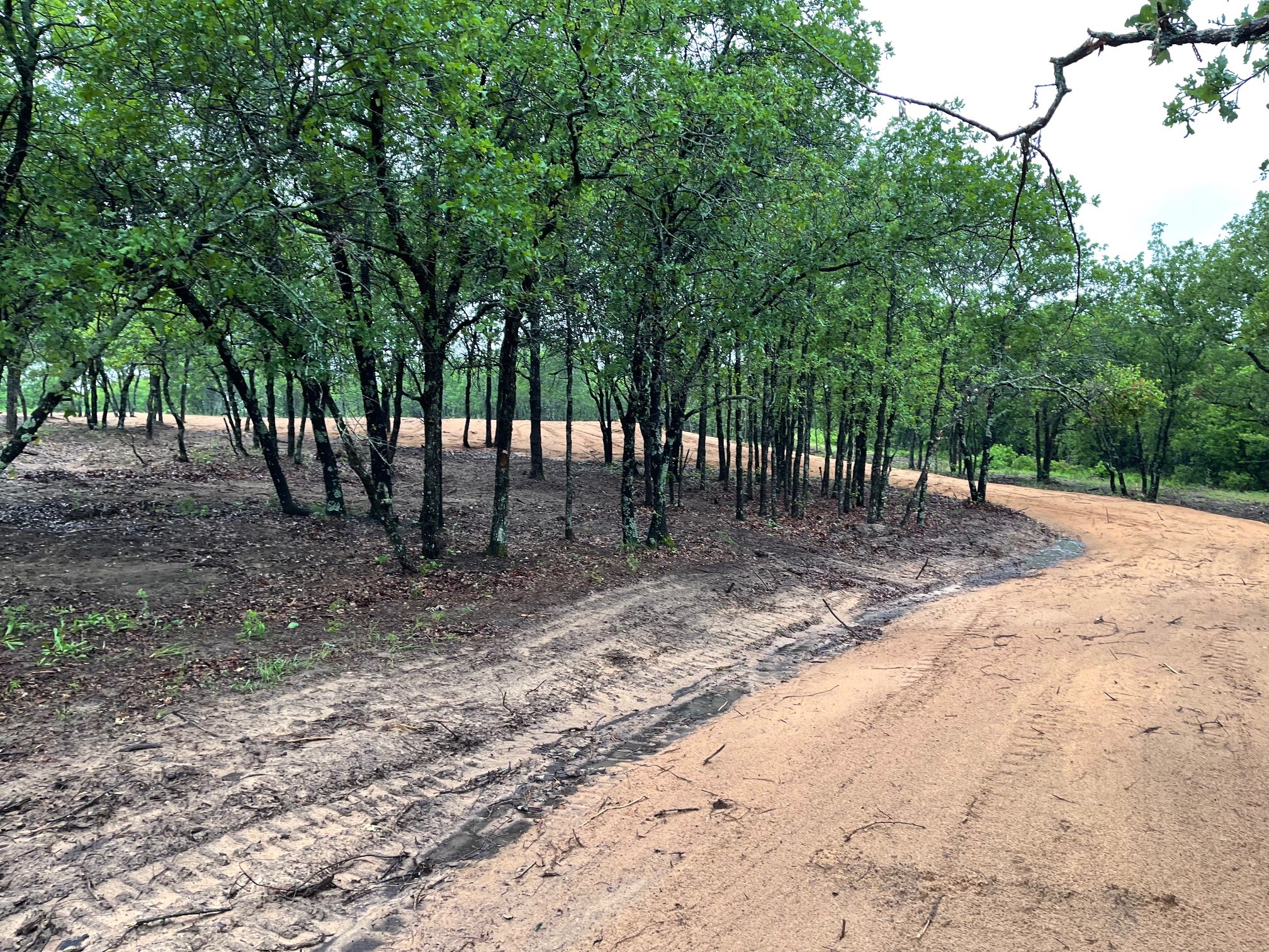 Tbd - Lot 88 Blissful Court Graford TX 76449