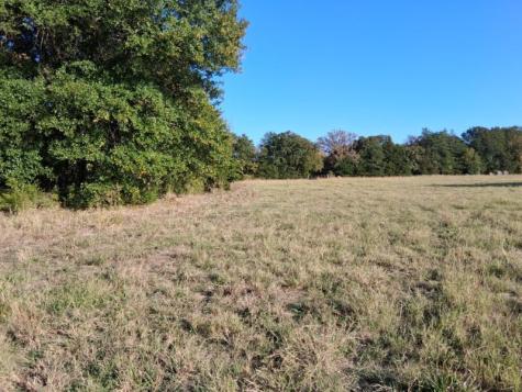 1071 Cr 2205 Ivanhoe TX 75447