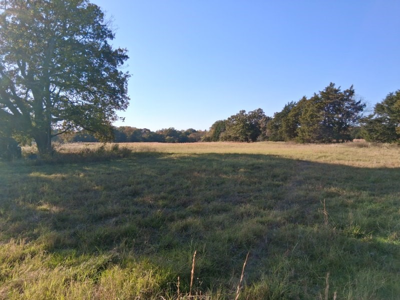 1071 Cr 2205 Ivanhoe TX 75447